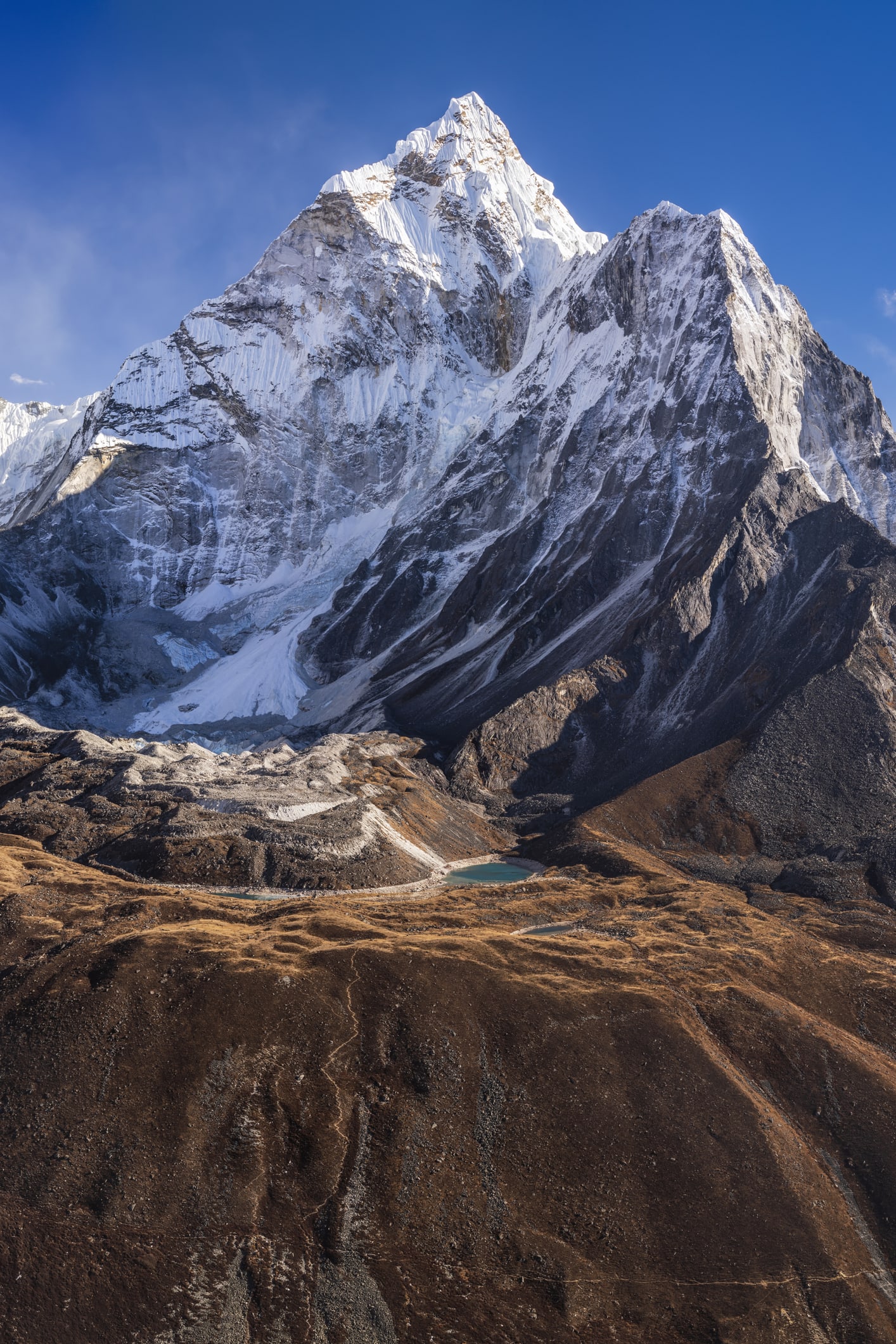 Supermontañas controlaron la evolución de la vida temprana