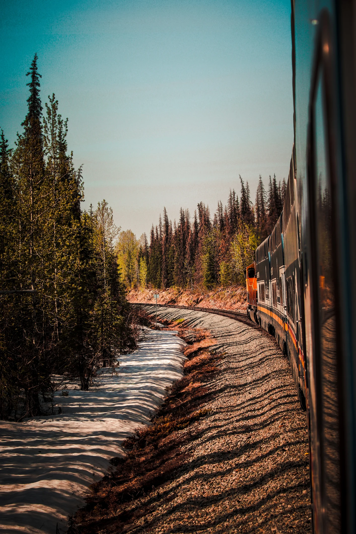 You’ll Love A Ride On Alaska's Majestic Mountain Train This Summer