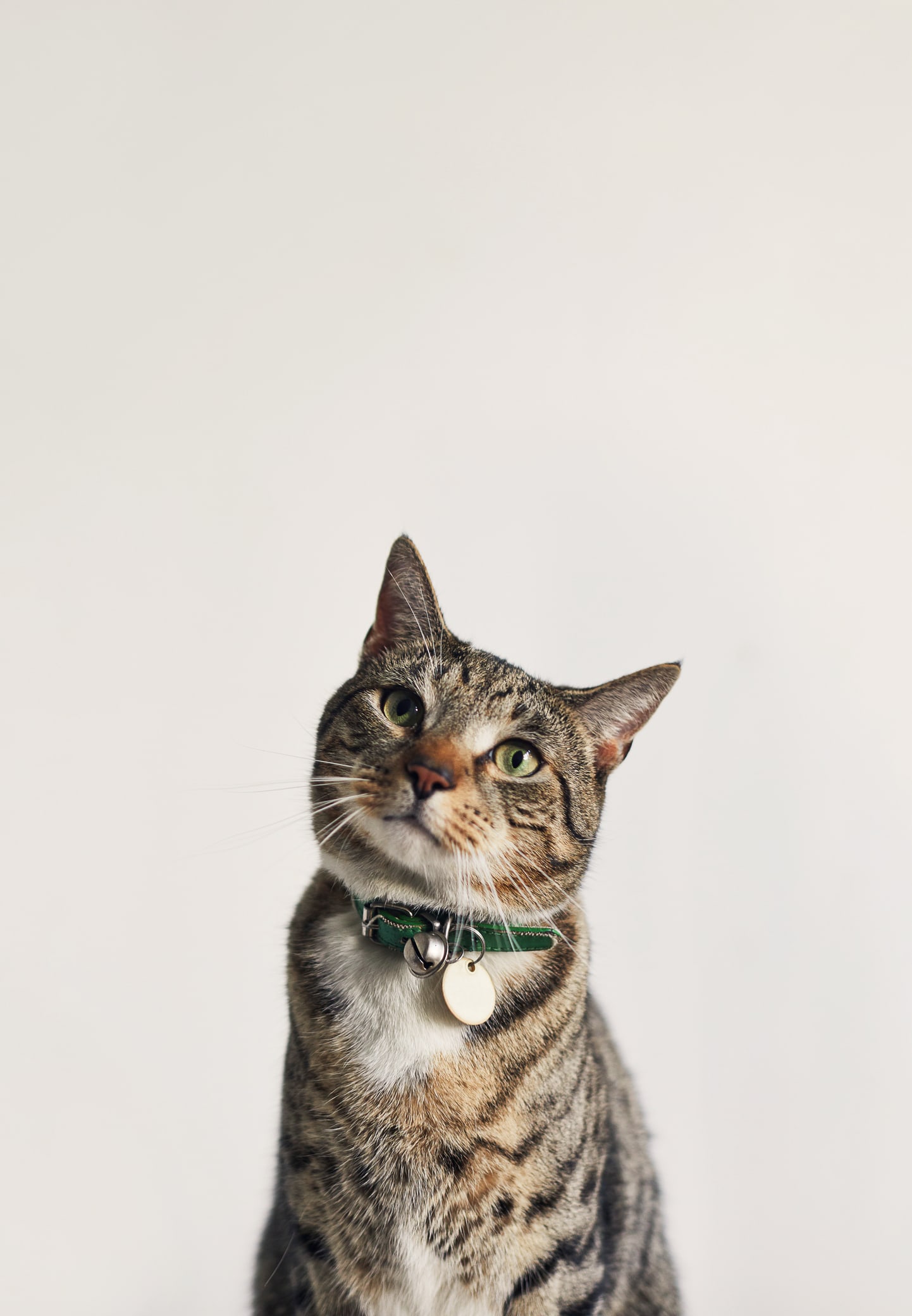 โปแลนด์จัด 