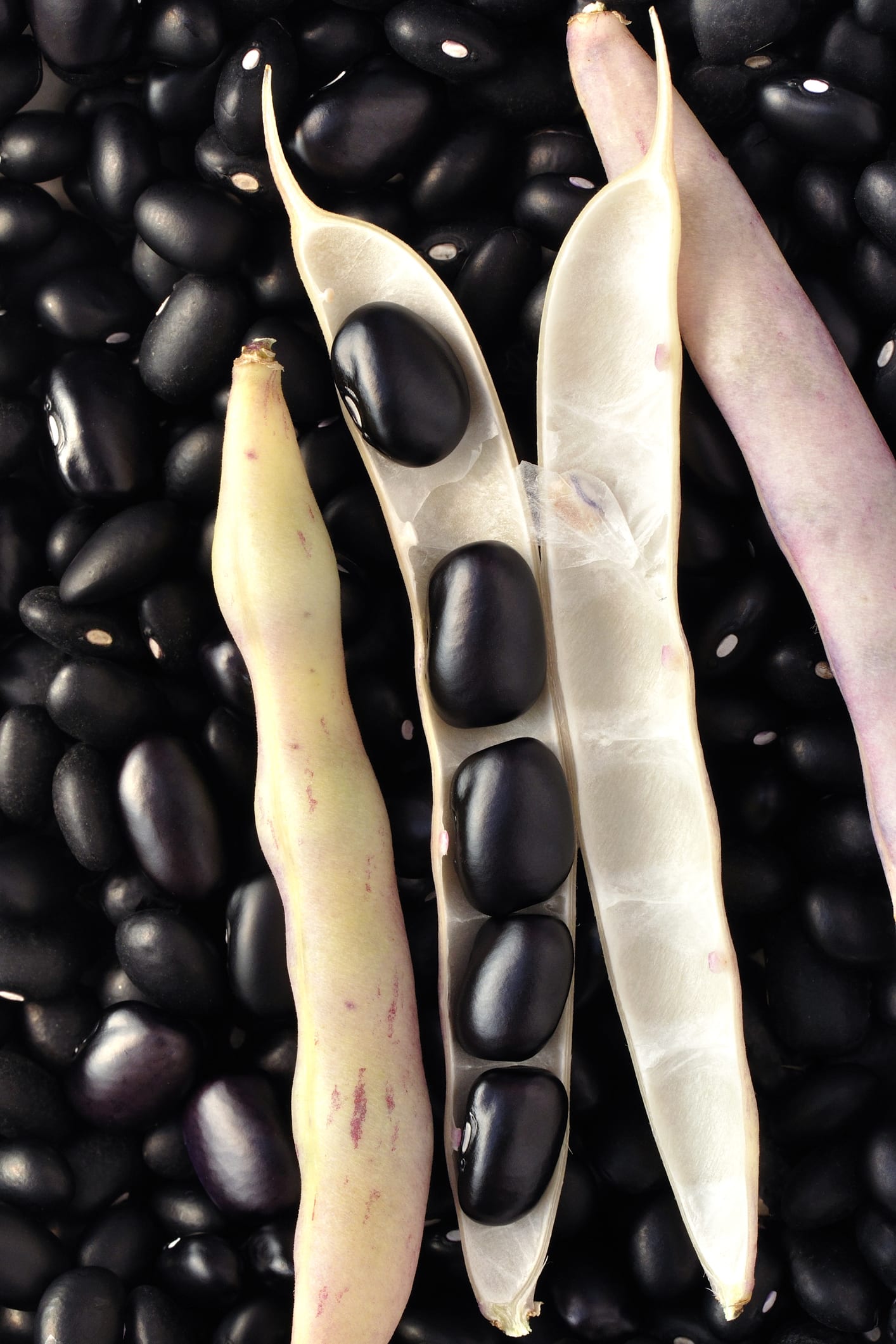 6 أنواع من الأطعمة تحتوي على أفضل كمية من البروتين لفقدان الوزن