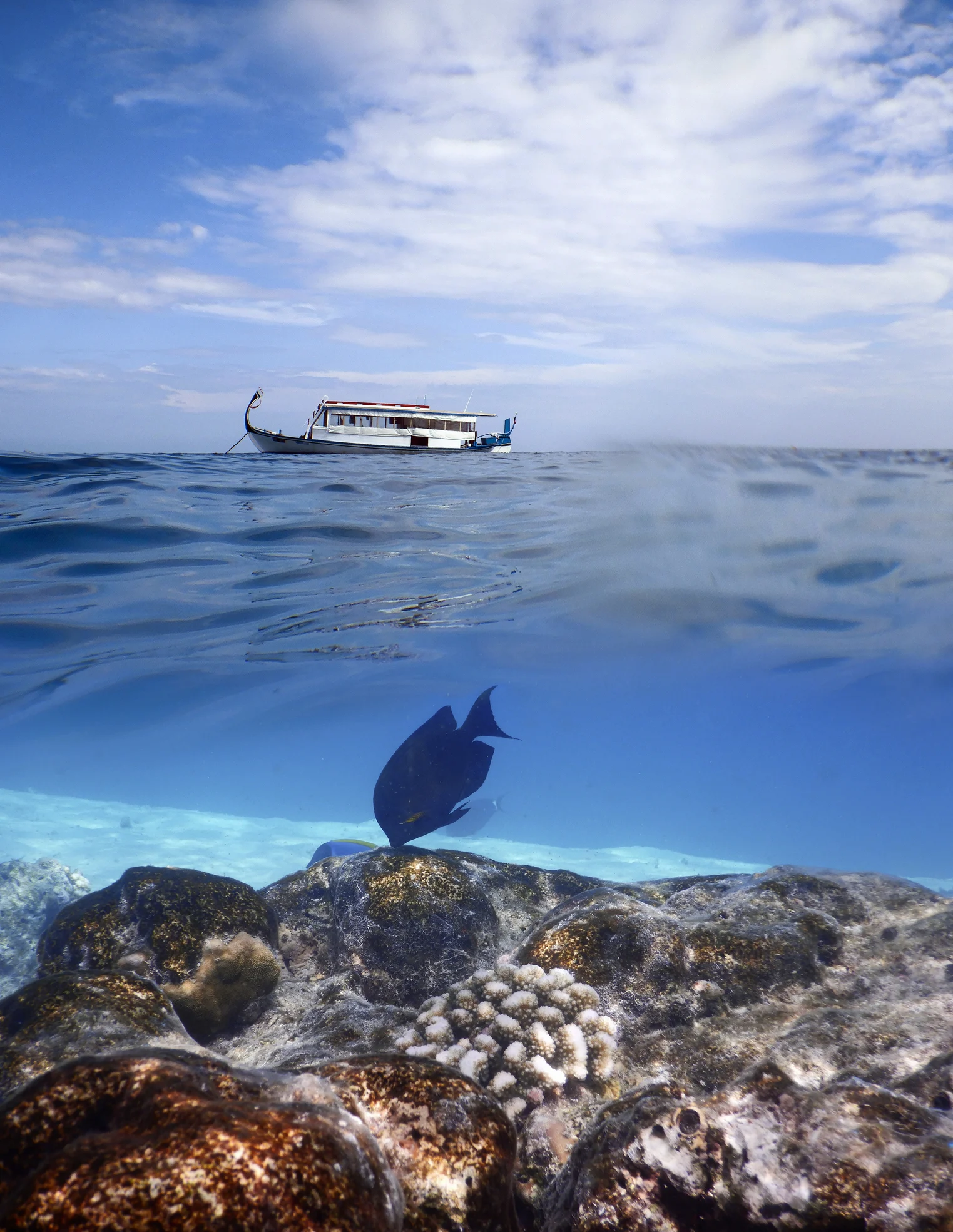 大自然と海が身体と心を癒す、奄美の絶景島旅へ！