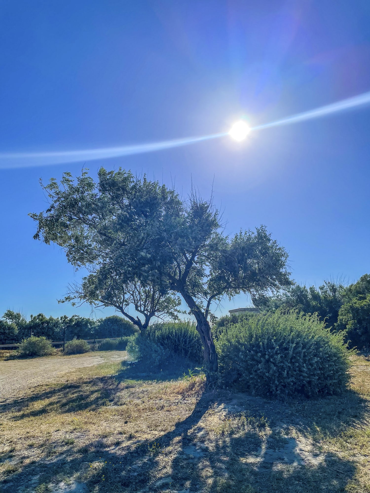 Woman shares clever £2 foil blanket trick which cools her home by four degrees