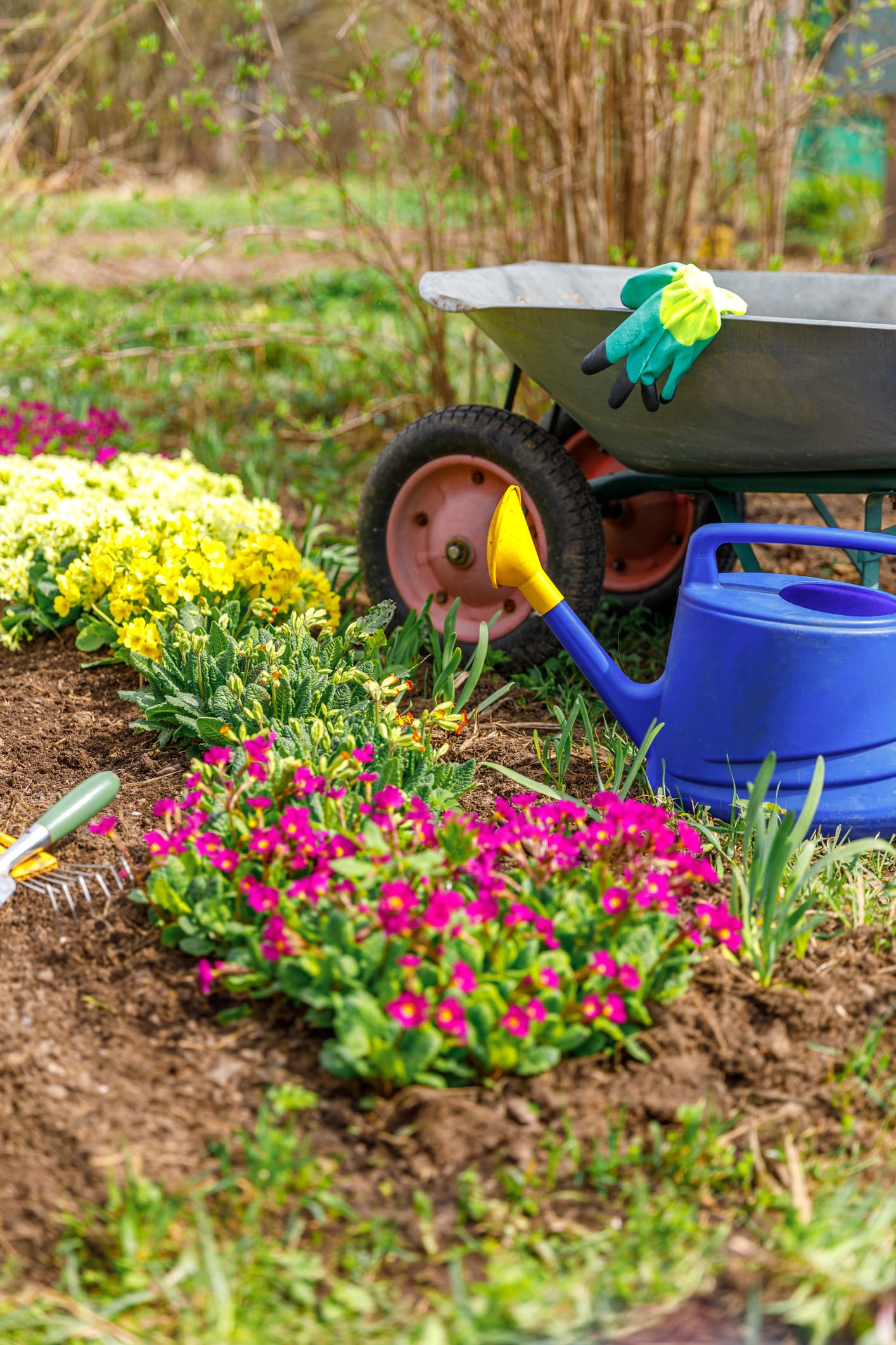 Imperdible, 3 trucos para conseguir el jardín perfecto