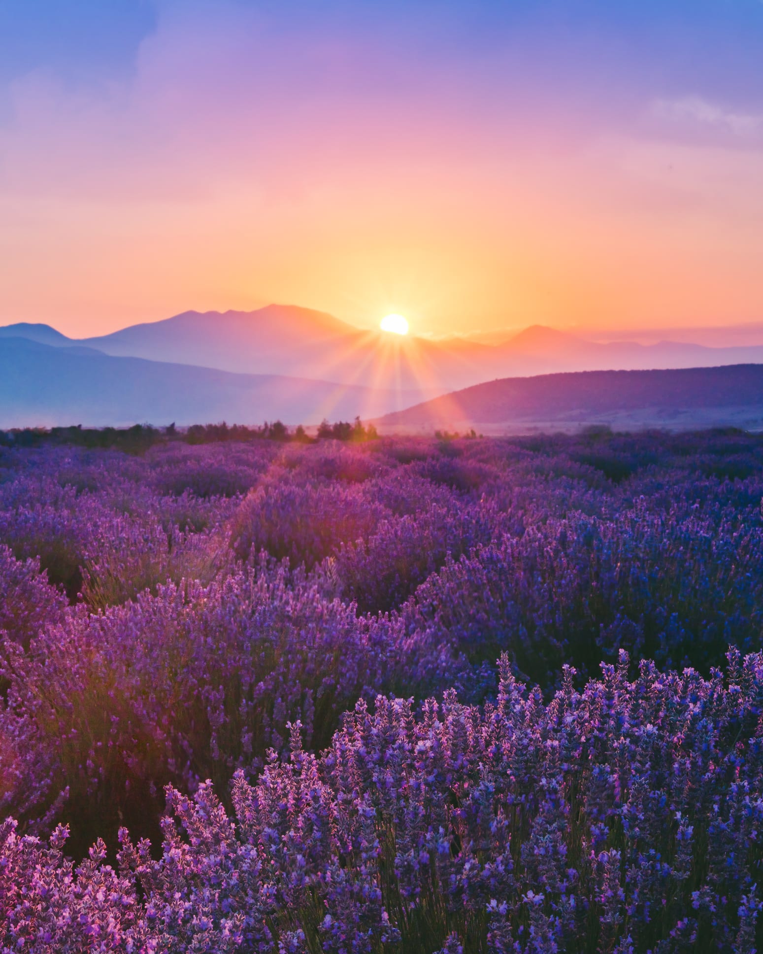 The most relaxing - and photogenic - staycation spots to enjoy in the UK