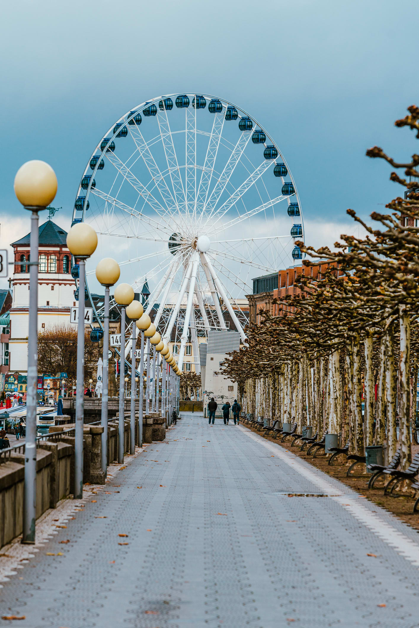 Tipps für den Urlaub nebenan: Die Urdenbacher Kämpe in Düsseldorf entführt in eine andere Welt