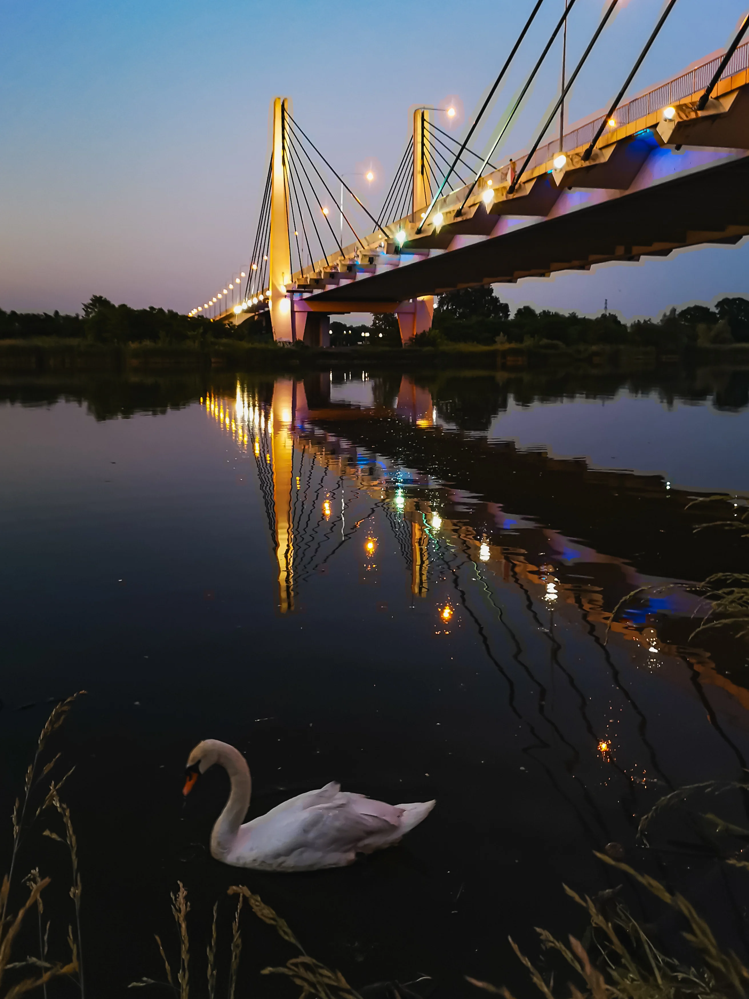 Así es Wroclaw, la ciudad de Polonia habitada por gnomos