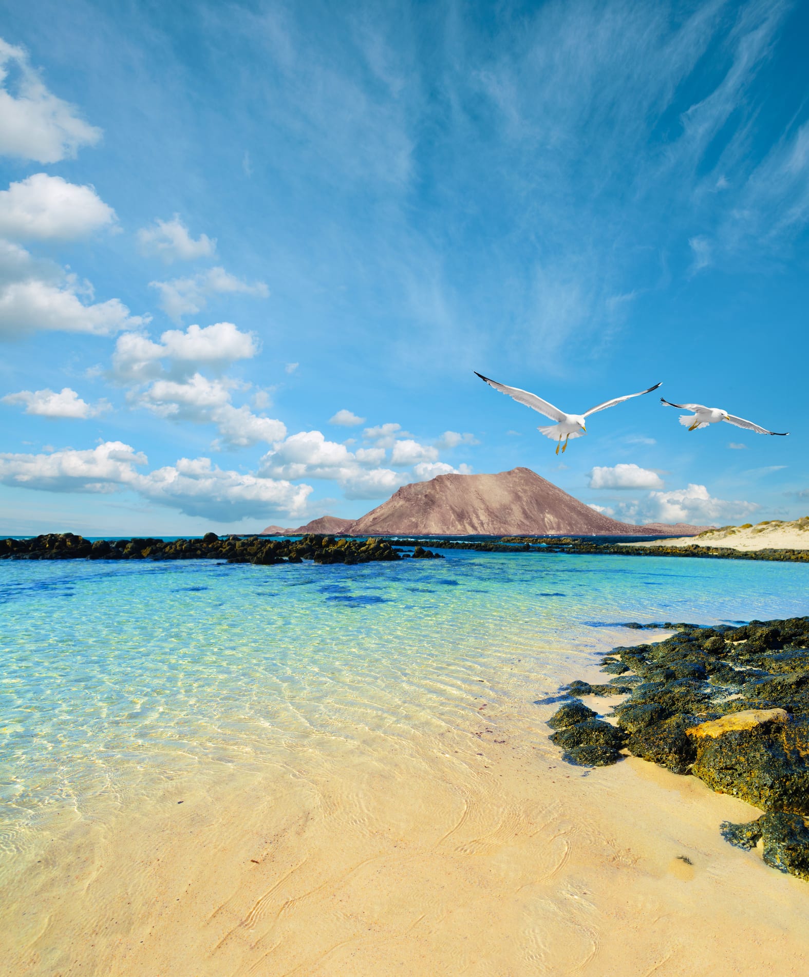 Competition: How to win a 12-night cruise for two around the Canary Islands