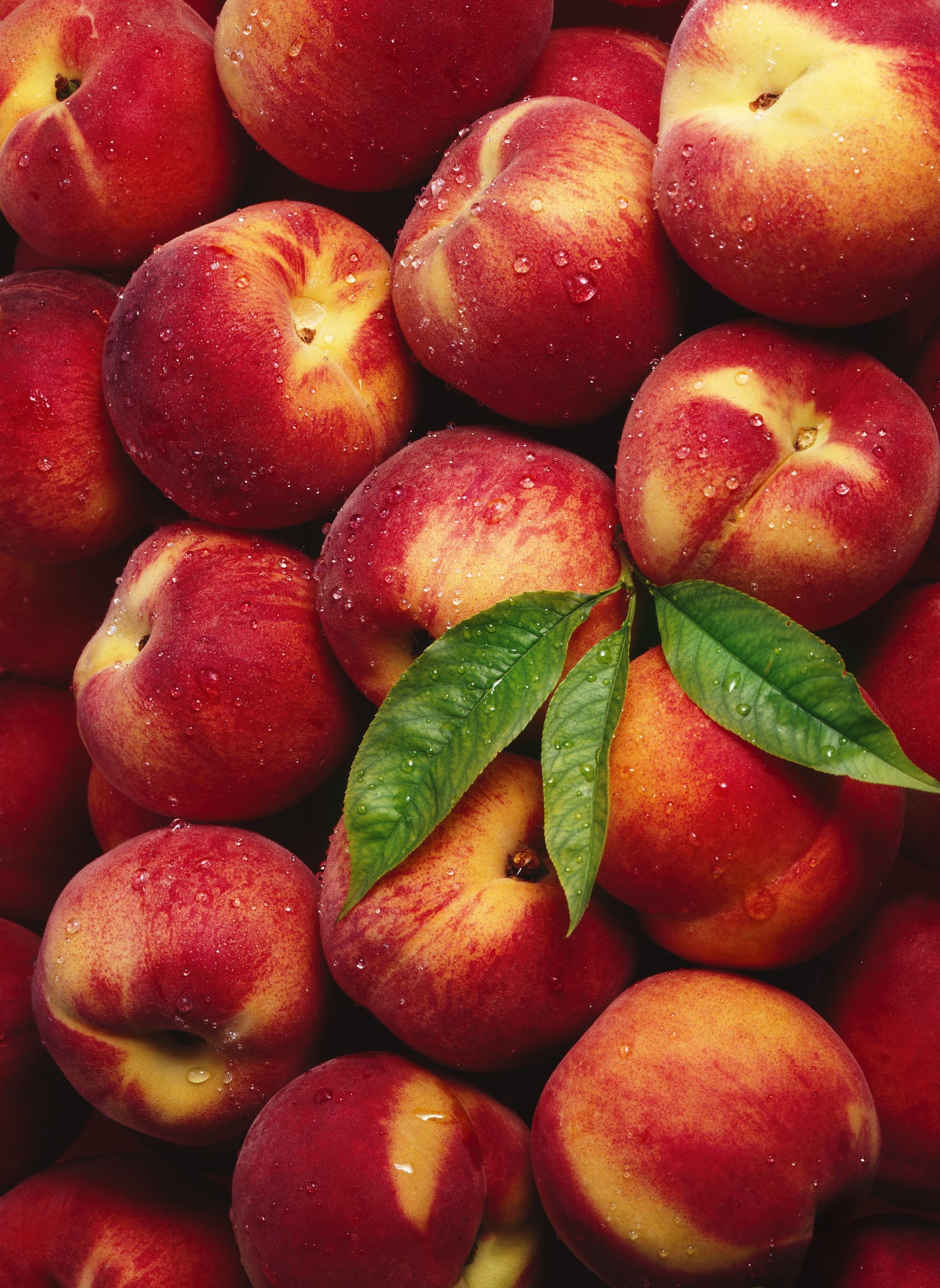 Pfirsich einkochen: Einfache Anleitung und Tipps