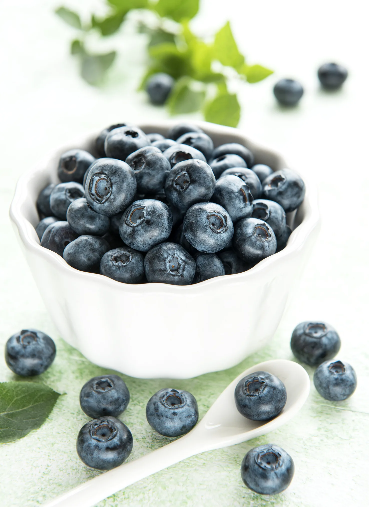 Jugo de arándanos: ¿cómo se prepara y para qué sirve?