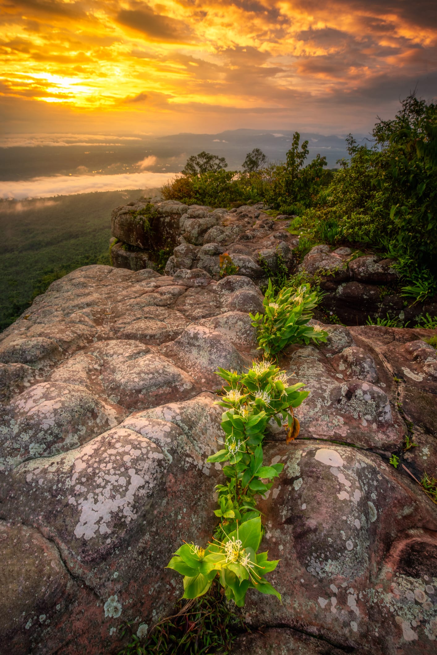 ธรรมชาติแสนงามที่ 