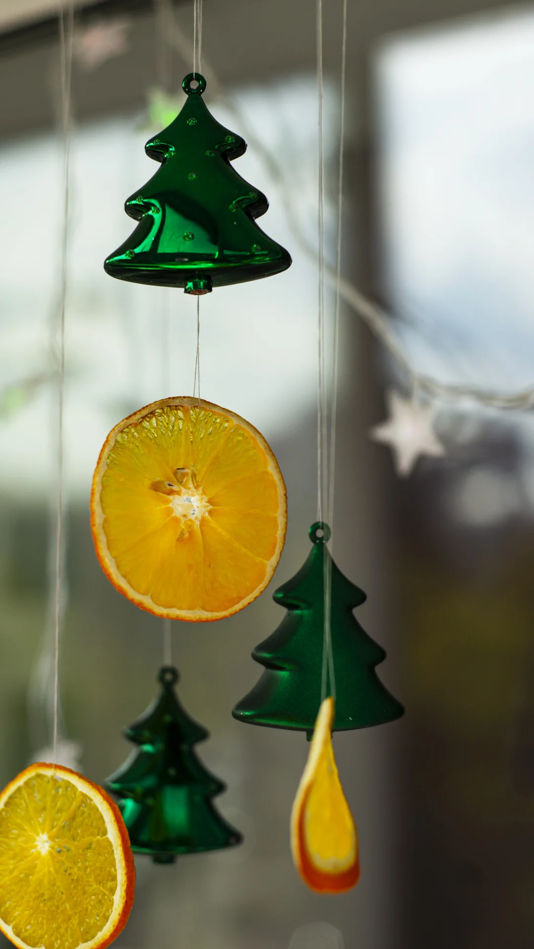 Aldi's real Christmas trees are back with prices starting from just £15