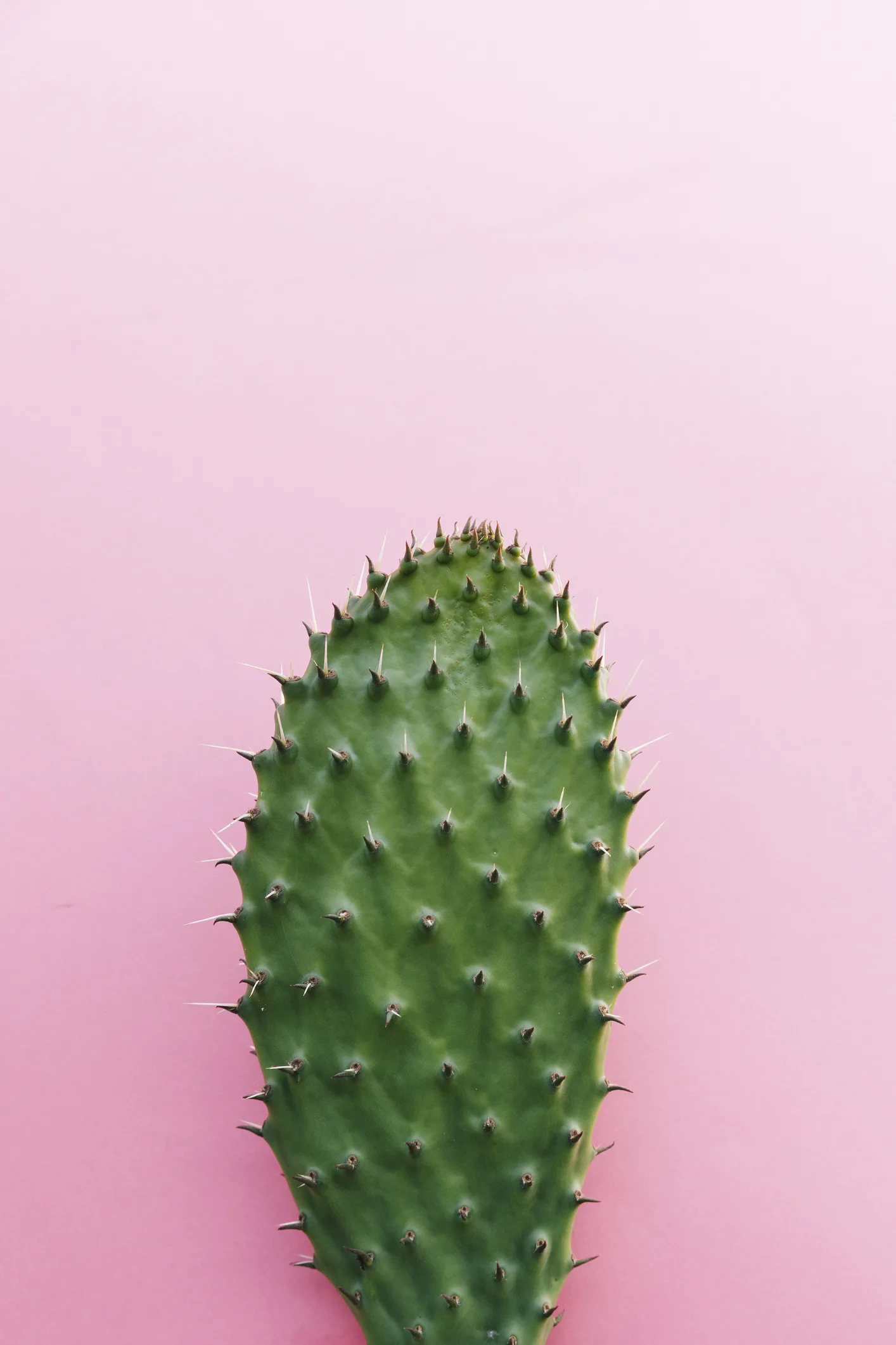¿Qué beneficios tiene comer nopales crudos?