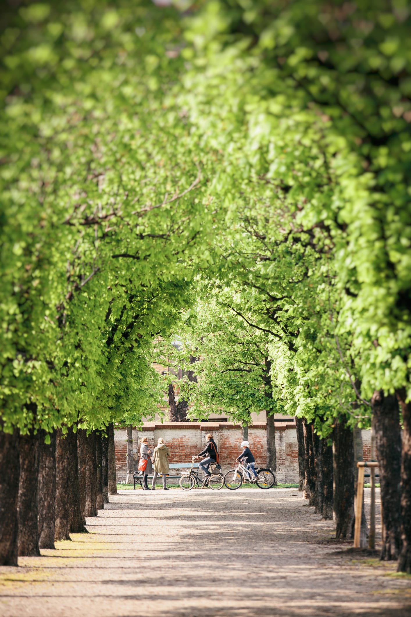 Viena en ocho placeres irresistibles