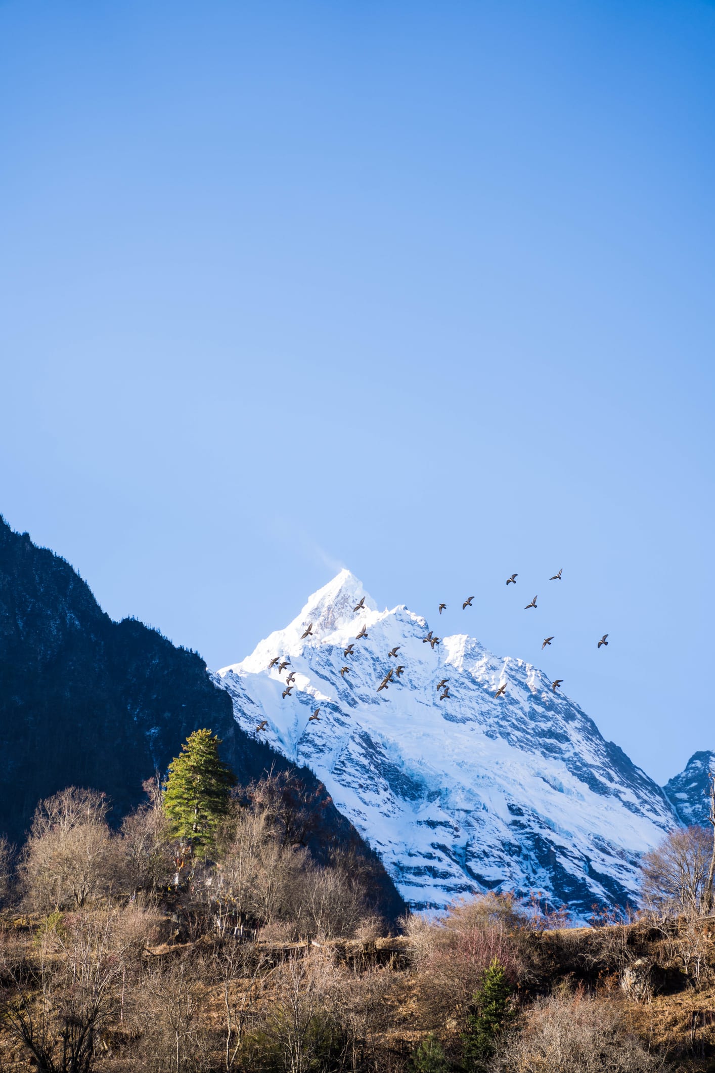 Scoperte mille specie di microbi nei ghiacciai del Tibet: l’82 percento è sconosciuta