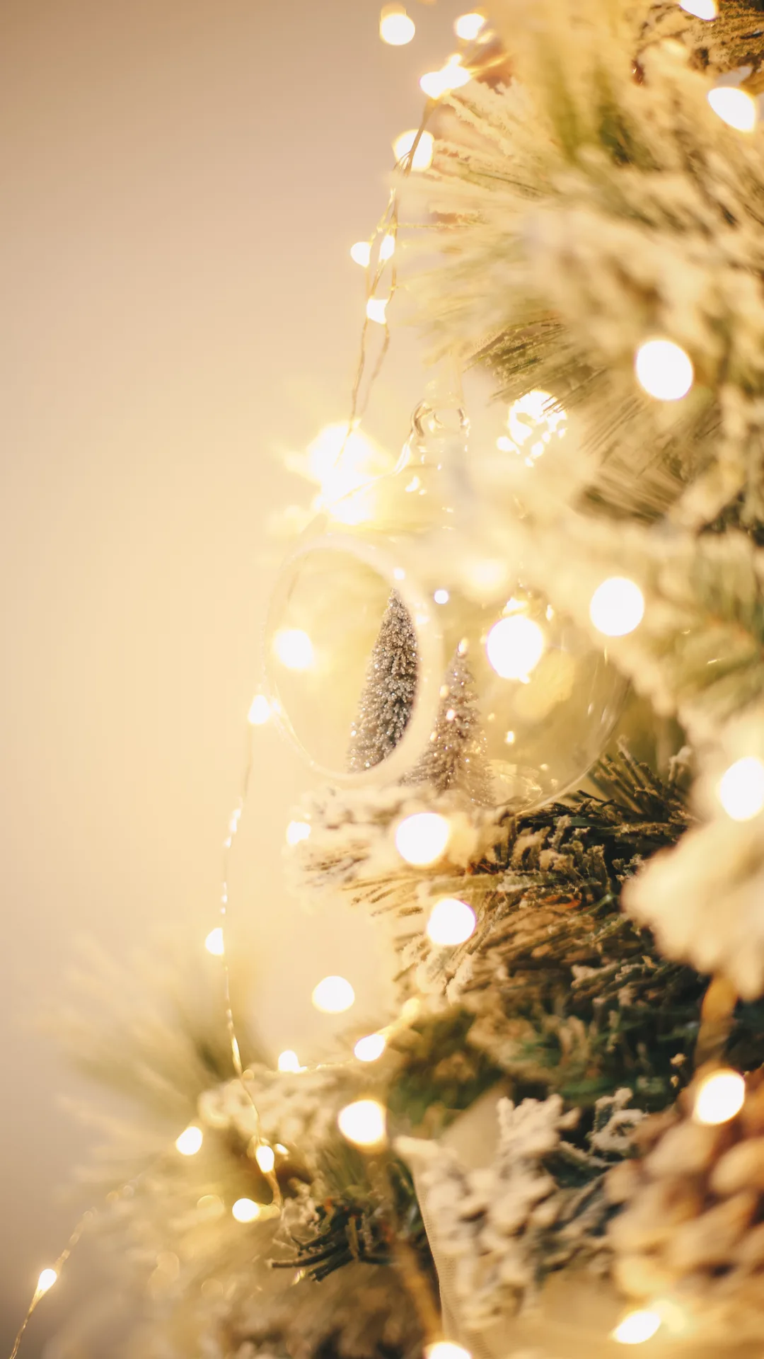 Weihnachtsbaum länger frisch halten: So verliert die Tanne keine Nadeln