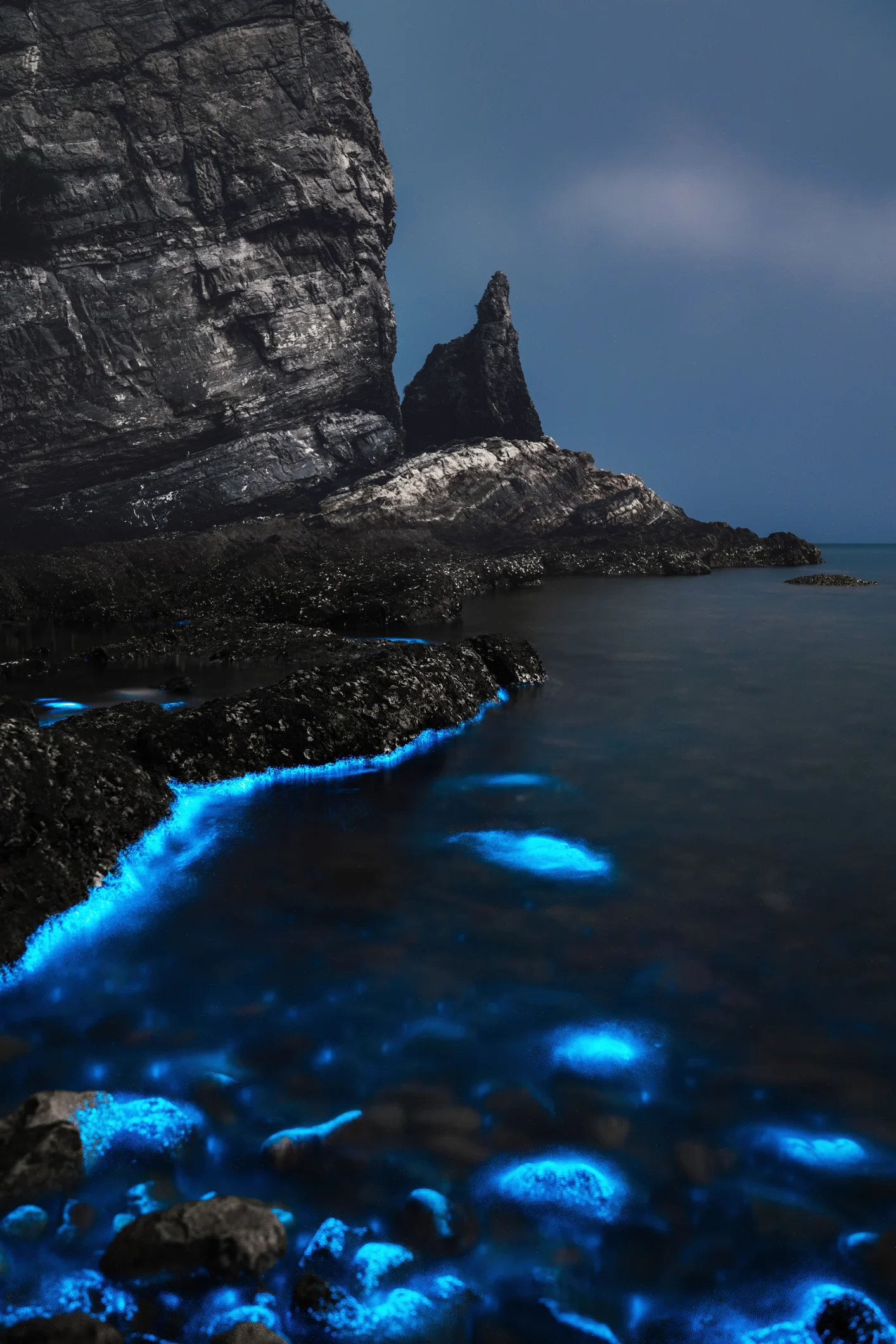 Bioluminiscencia: 7 playas mexicanas que brillan por la noche, ¿dónde se encuentran?