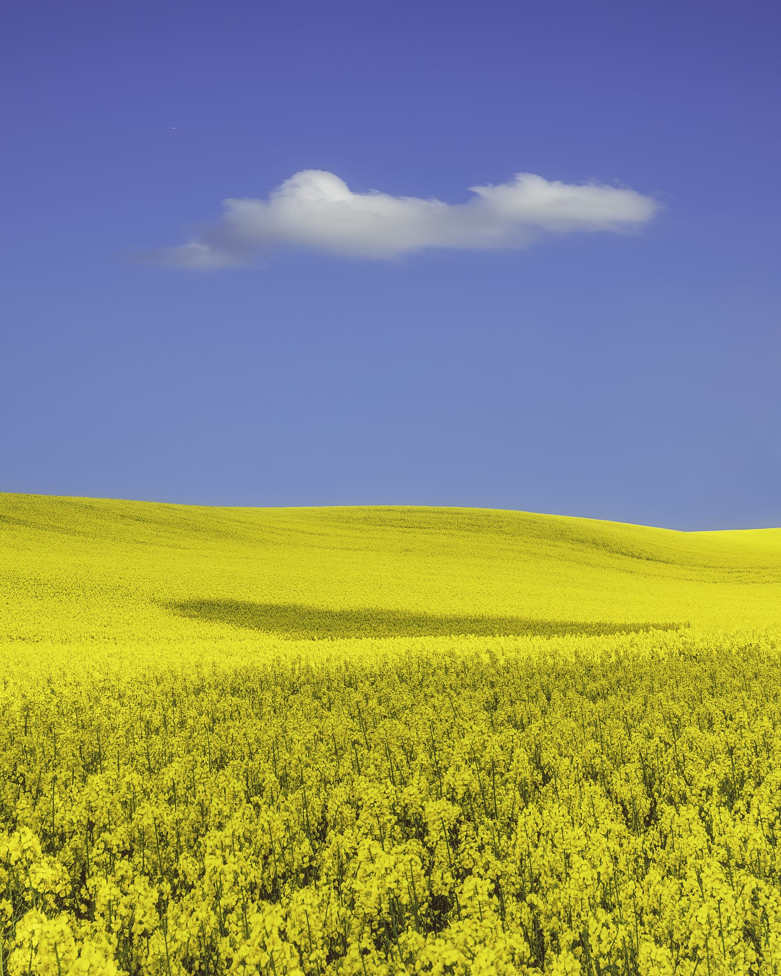 10 ยี่ห้อครีมกันแดดทาหน้า 2022 ที่เหมาะกับสภาพผิวแบบต่างๆ