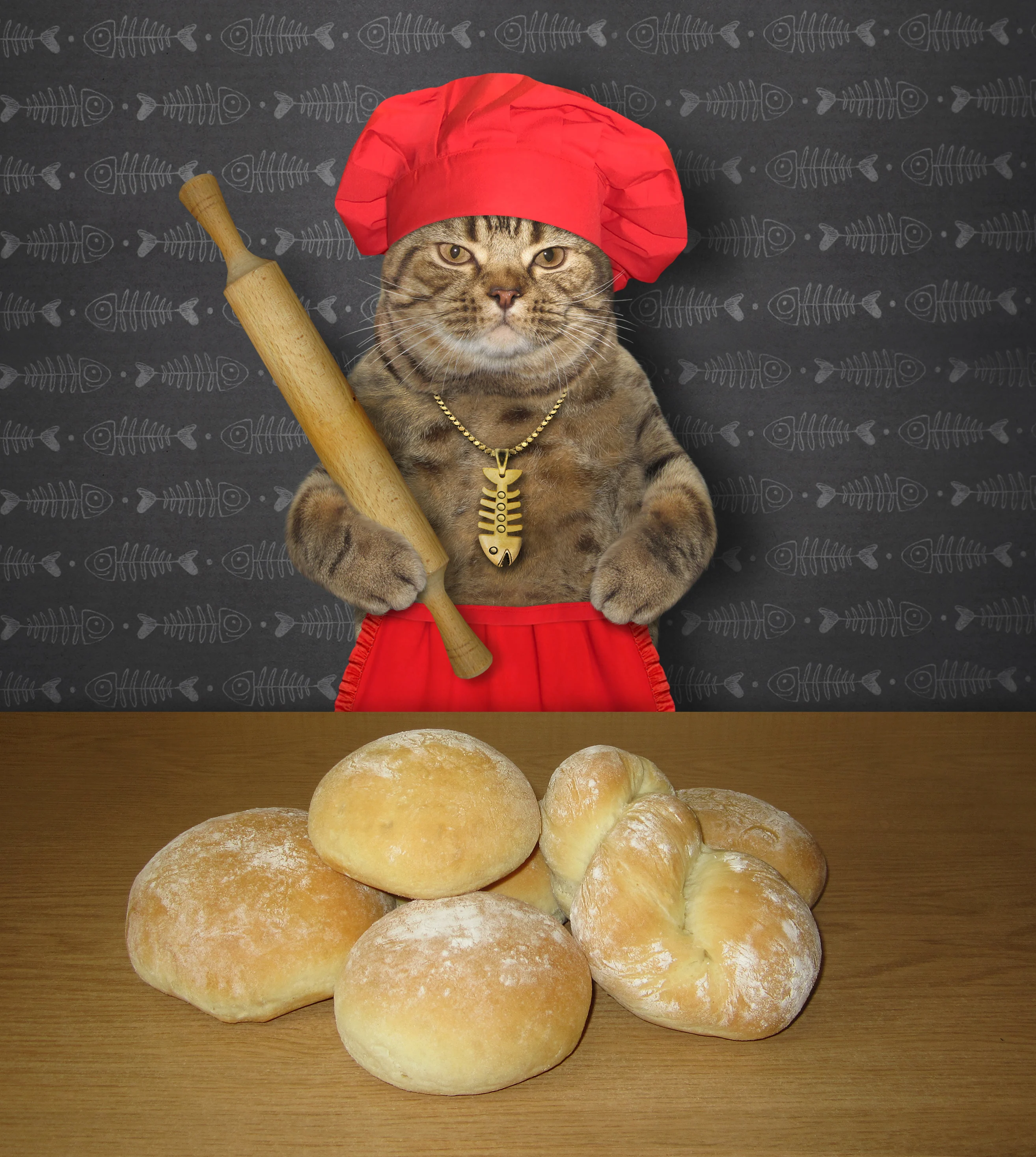 Cat becomes social media sensation by showing off his kitchen skills