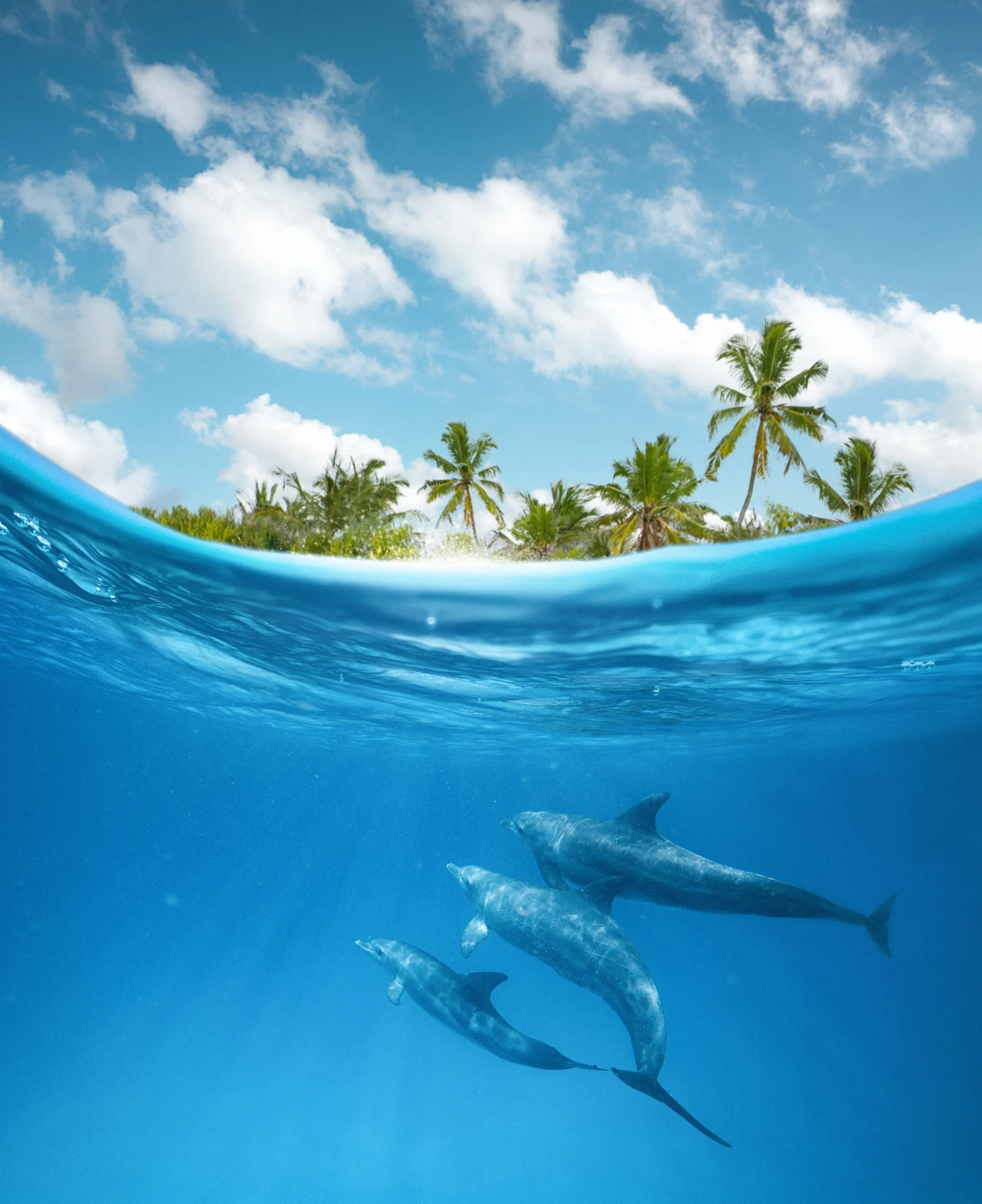 Incredible Superpowers of the Animal Kingdom