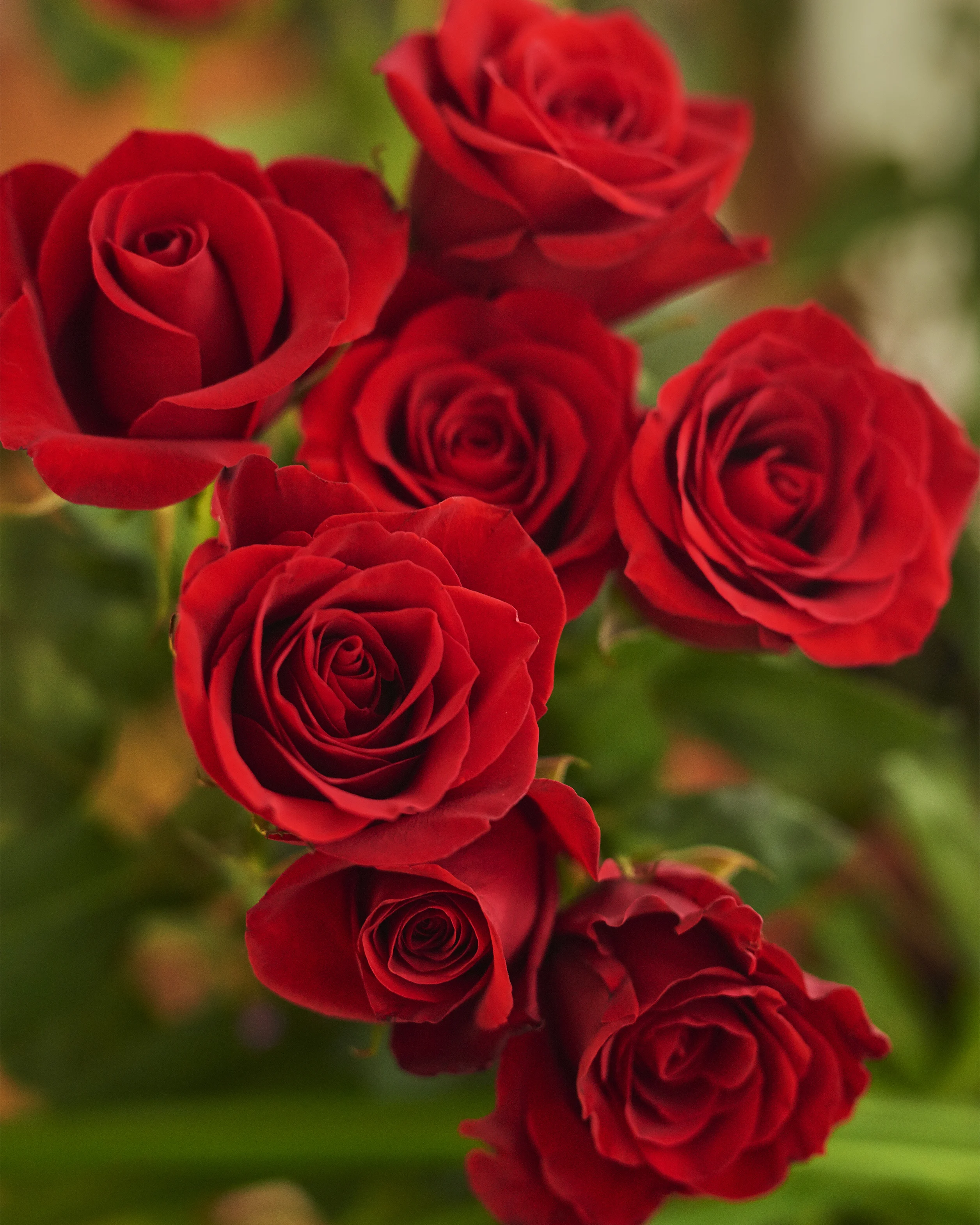 Brits are quicker than expected to say ‘I love you’