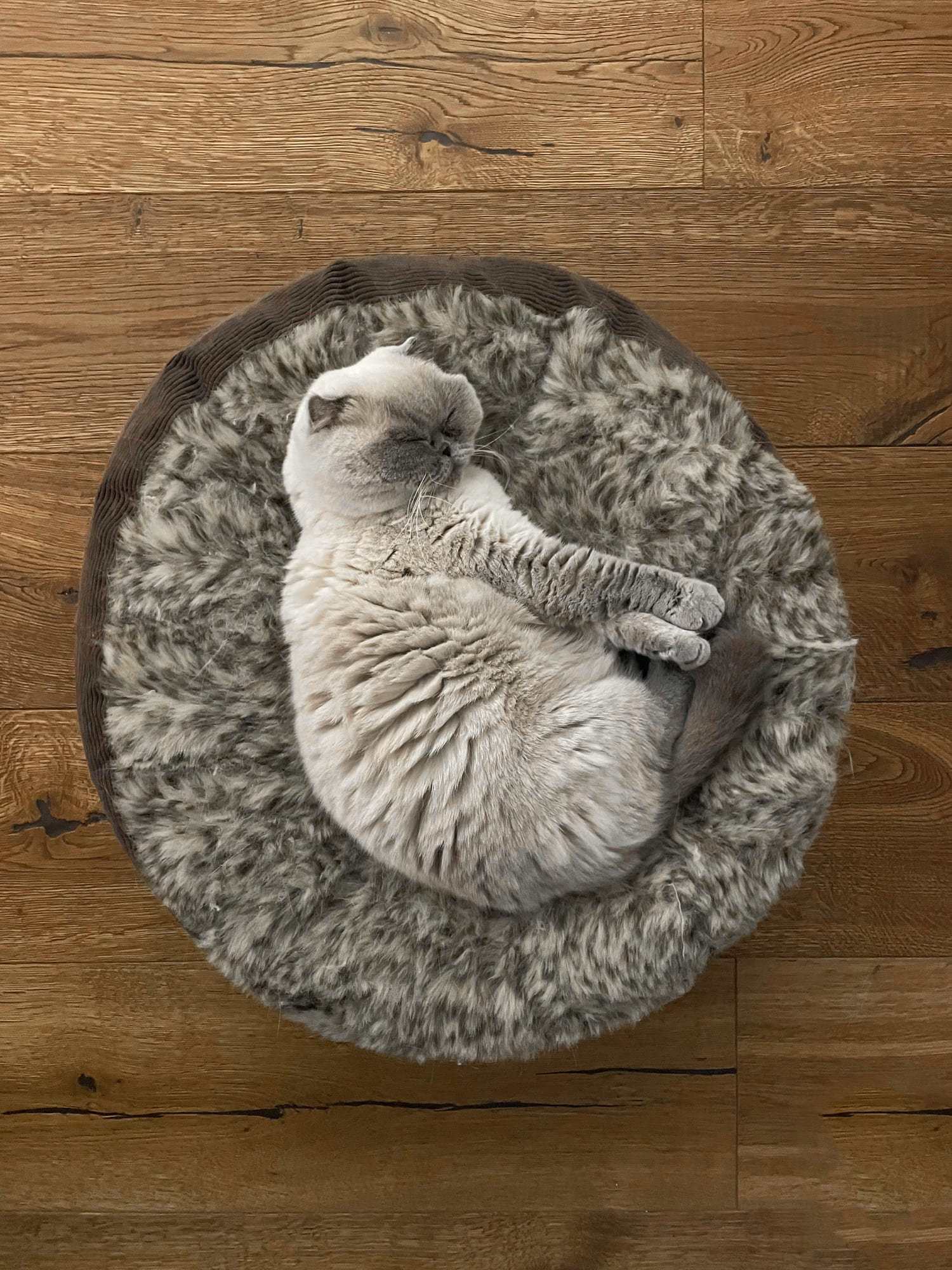 How to sleep better without following strict sleep hygiene rules