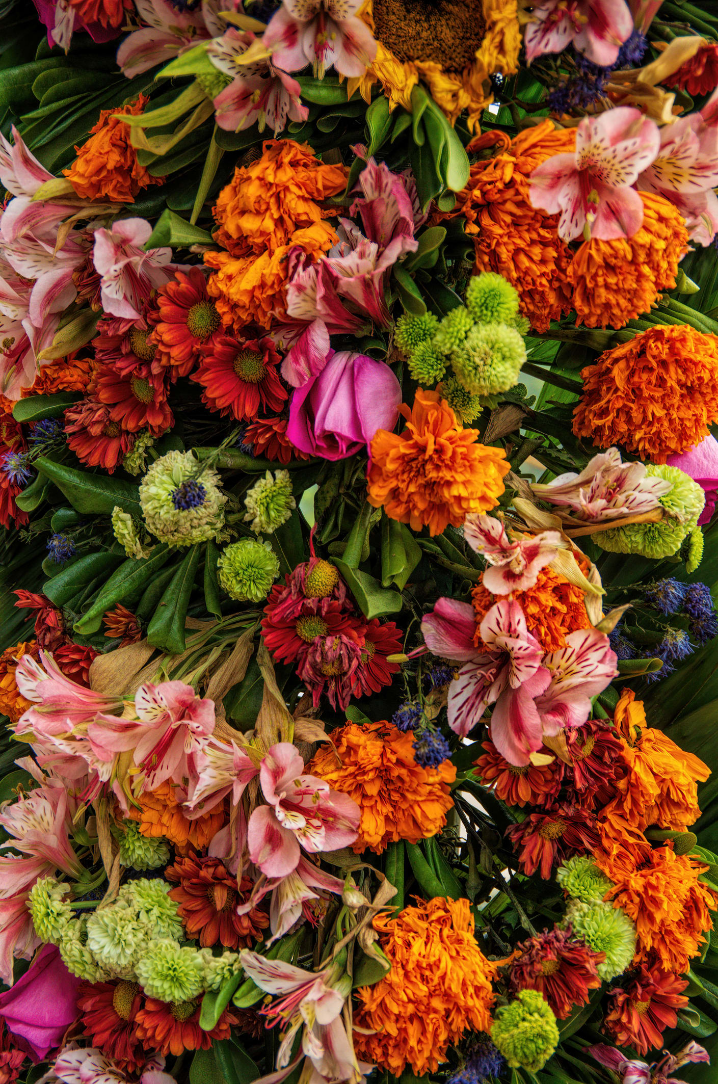 スナップの達人から、トレンドのカラフルコーデを学ぶ。