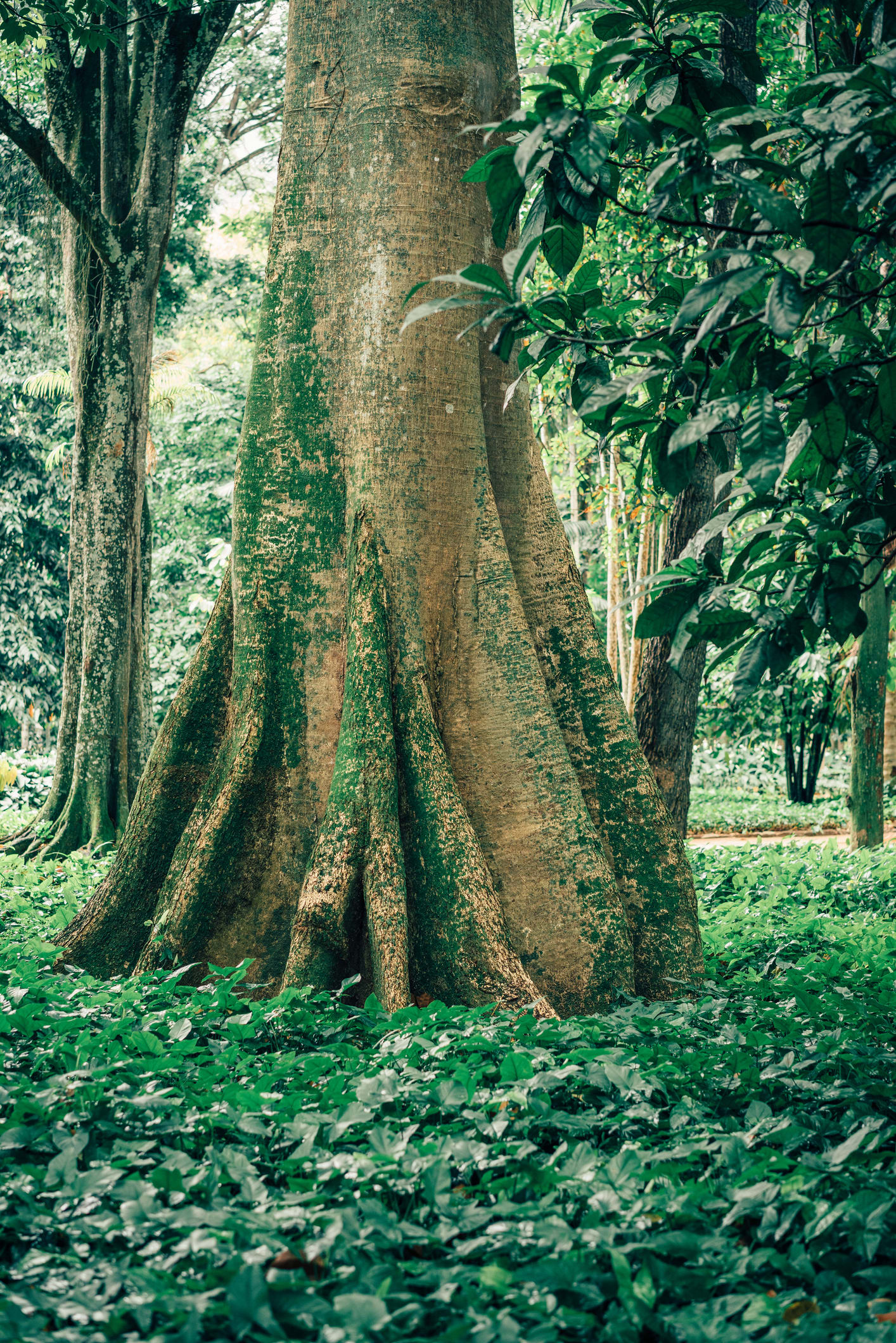 Devastação avança ferozmente nas 'terras de ninguém' da Amazônia