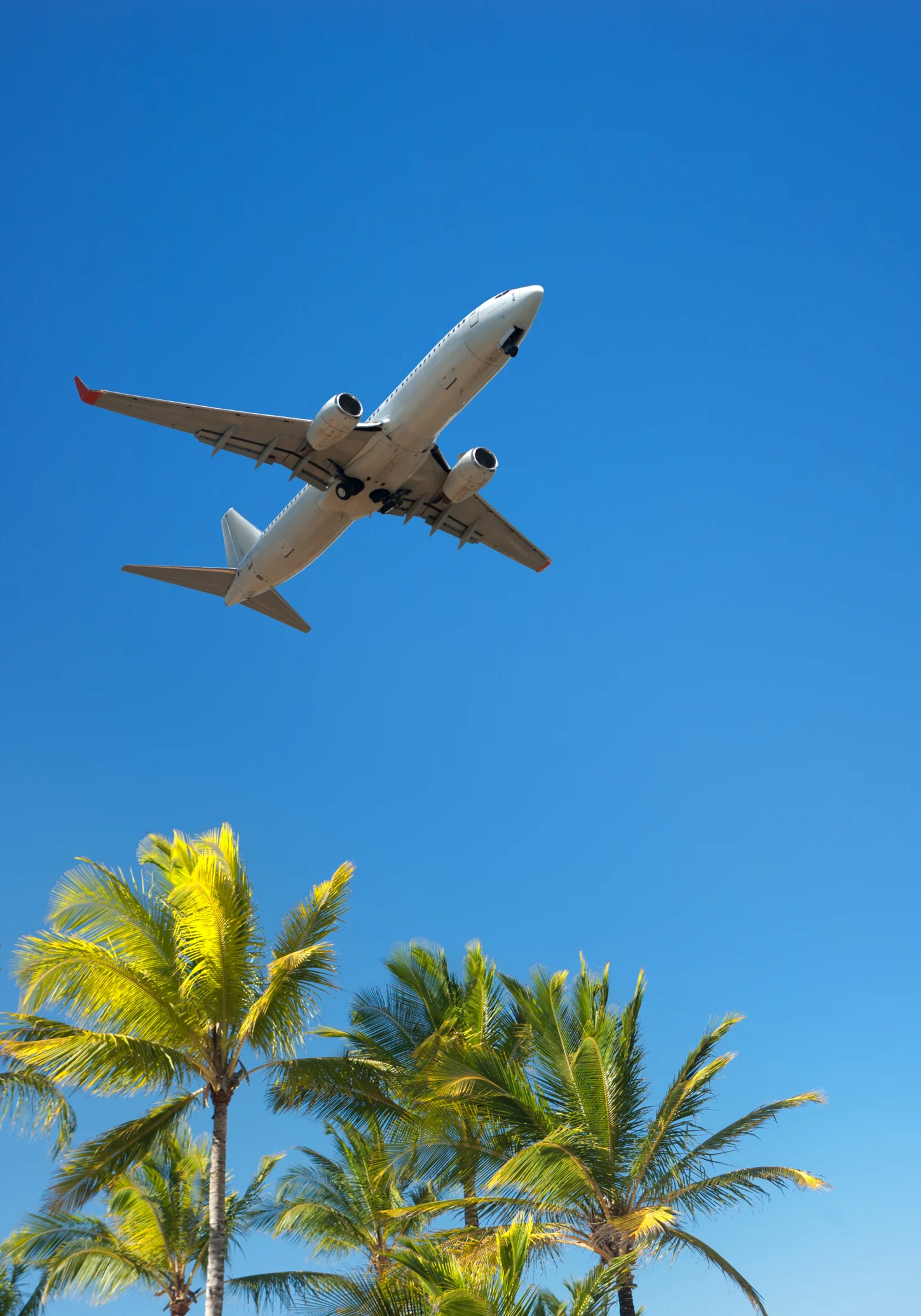 Flight attendant claims she sleeps in 'hidden' room on plane that we can't see