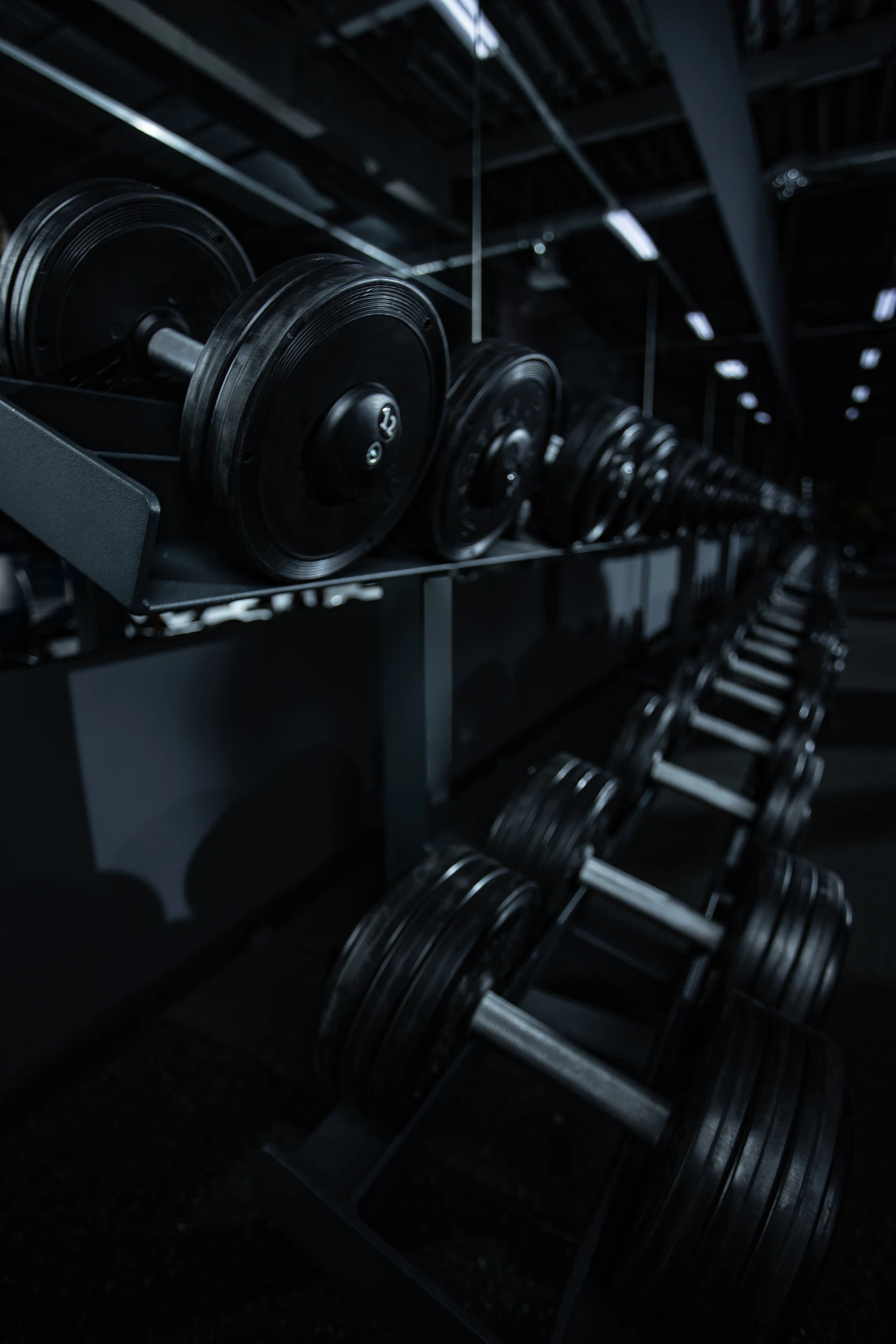 'I completed the F45 challenge, and these are my honest results'