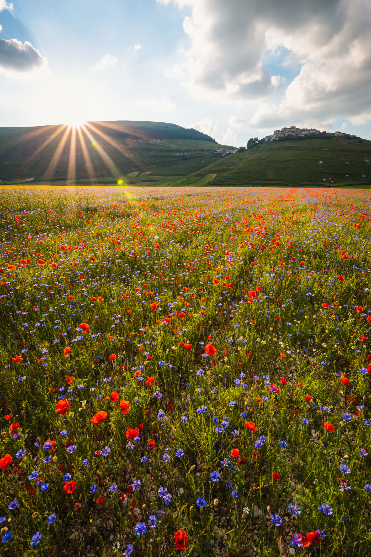 Lo spettacolo dell’Umbria: quando vedere la piana di Castelluccio 2022