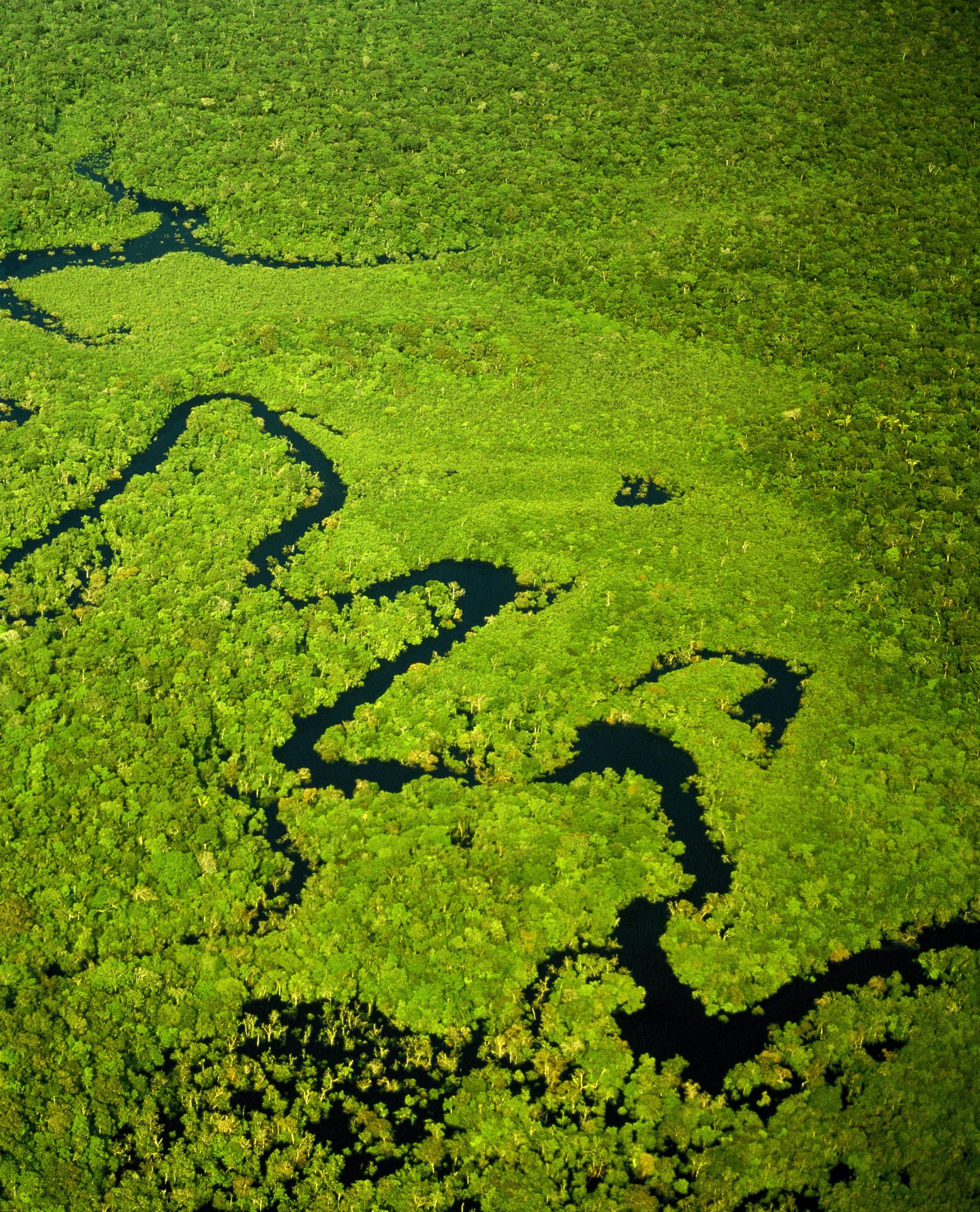 Why are there no bridges over the Amazon River?
