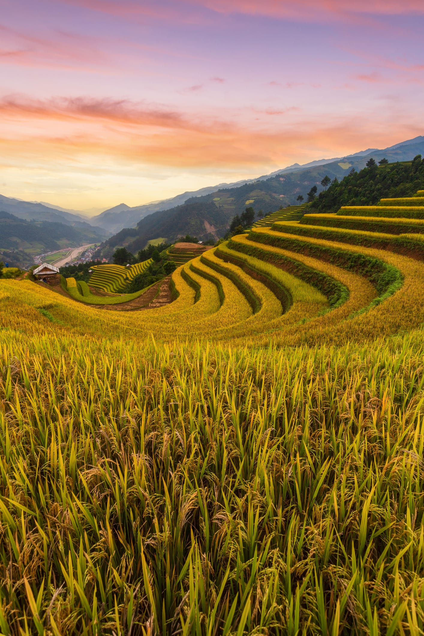 Đến Sapa nhất định phải một lần cảm nhận được nét đẹp nguyên sơ, hùng vĩ