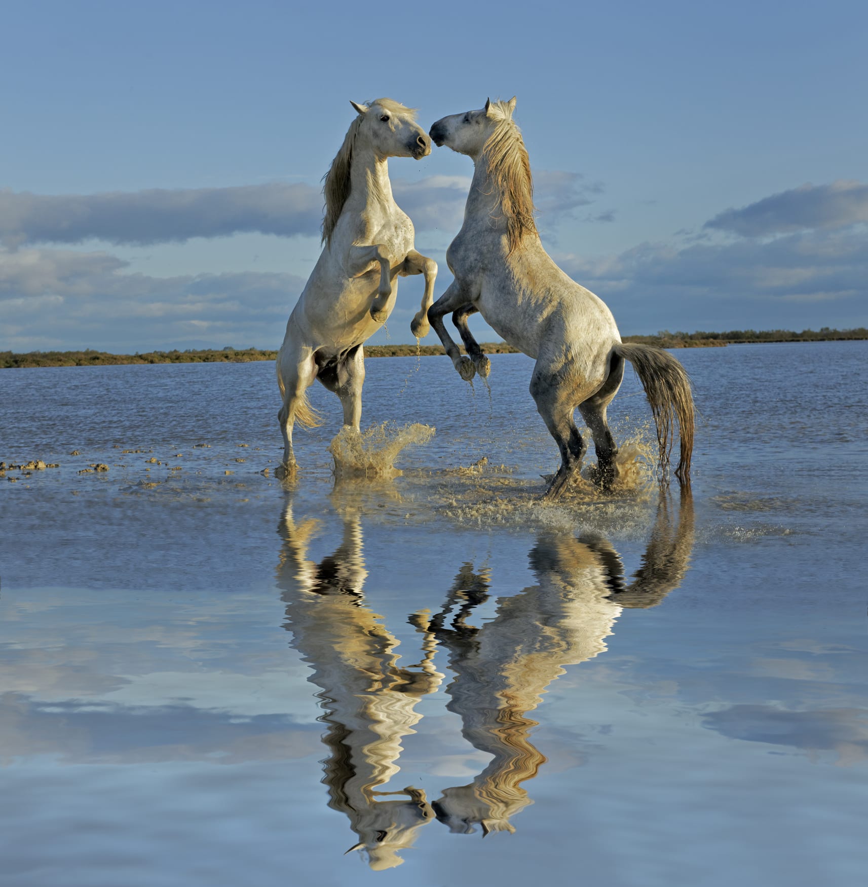 Wanneroo to investigate potential horse beach