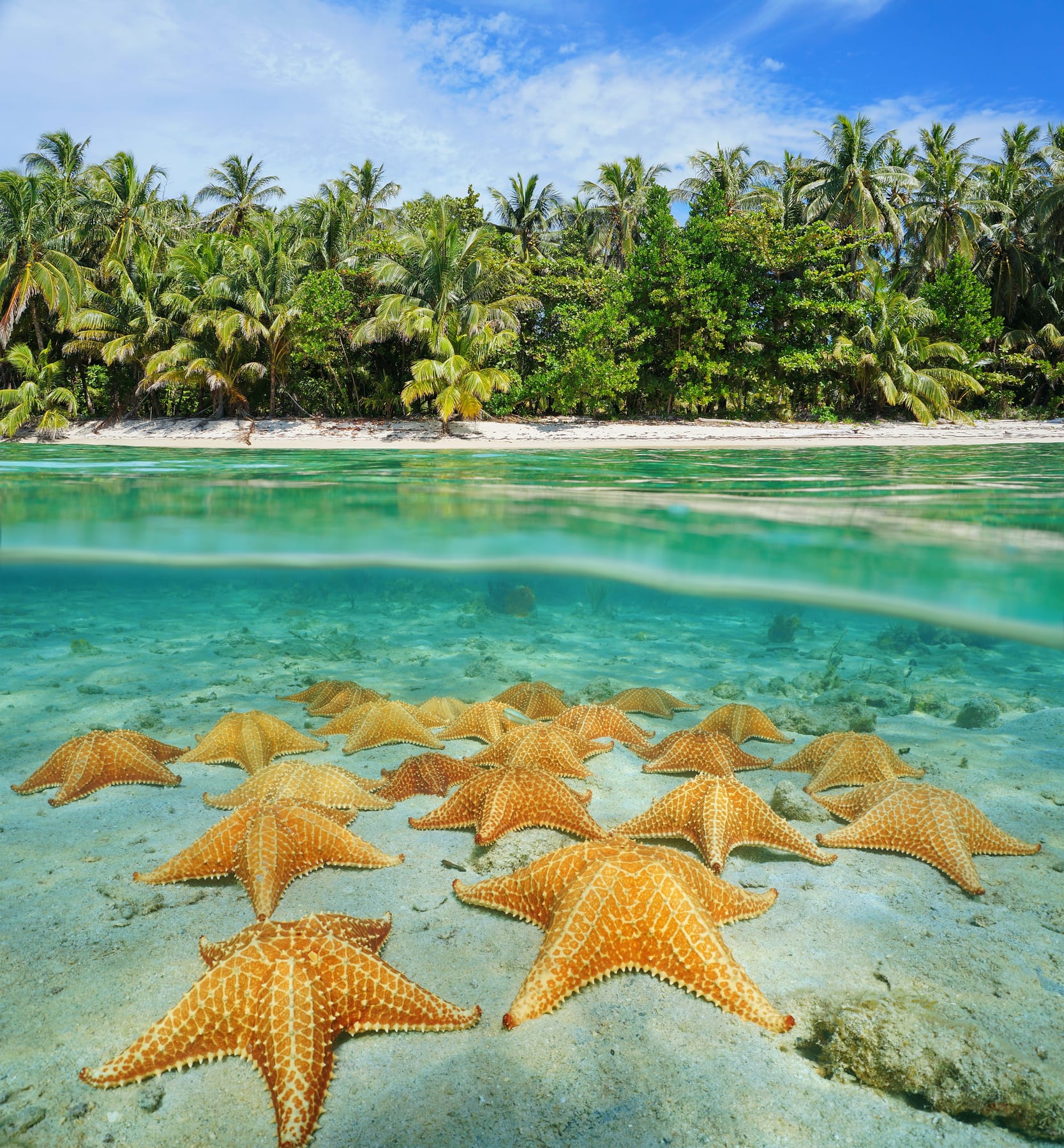Sotto Panama è stato scoperto un passaggio segreto che porta alle Galapagos