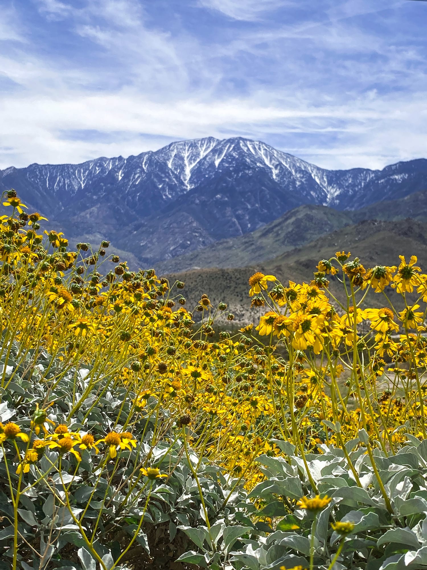 This State Park In Southern California Is So Little Known, You'll Practically Have It All To Yourself