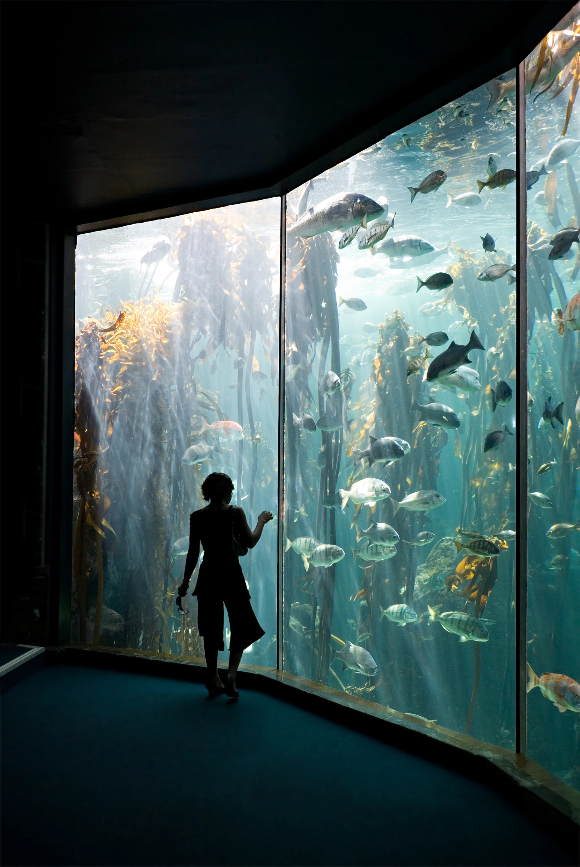 10 best aquariums in the United States, according to readers