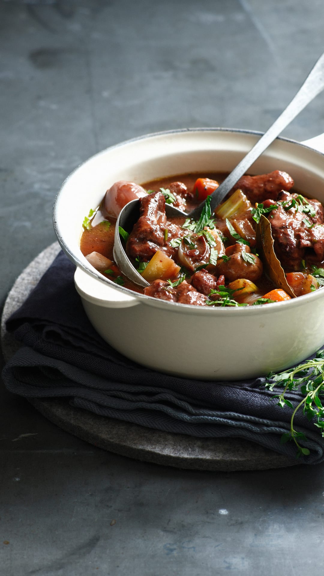 Estofado de ternera, sigue esta receta para tener un platillo delicioso en la semana