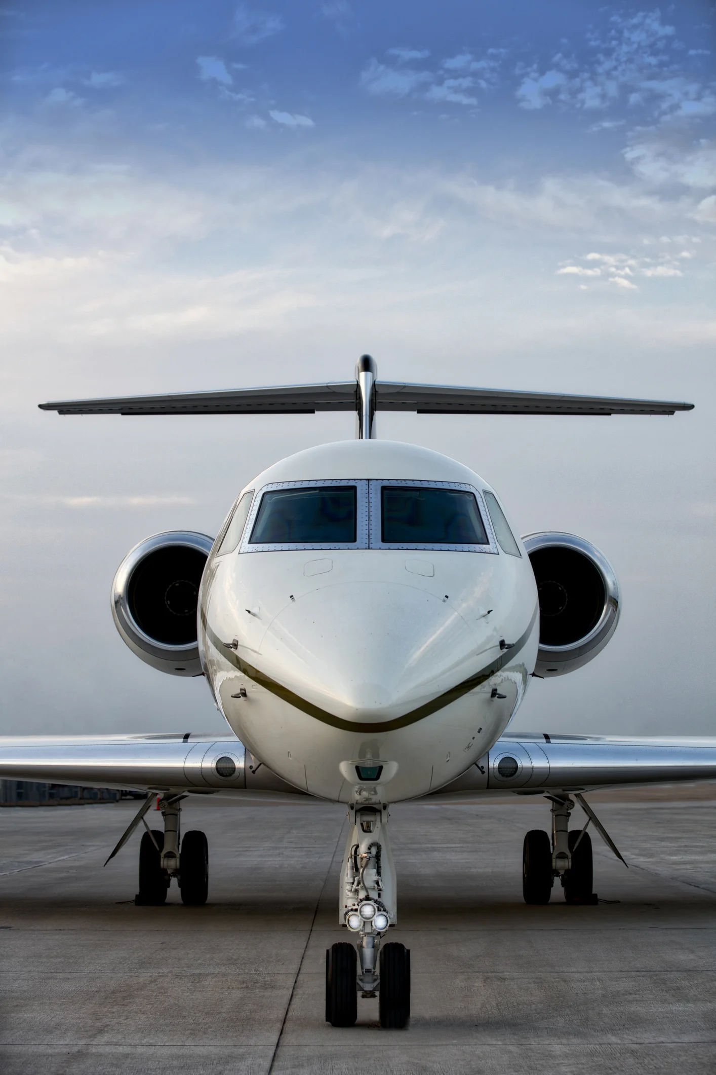 Taylor Swift criticata perché inquina troppo con il suo jet privato