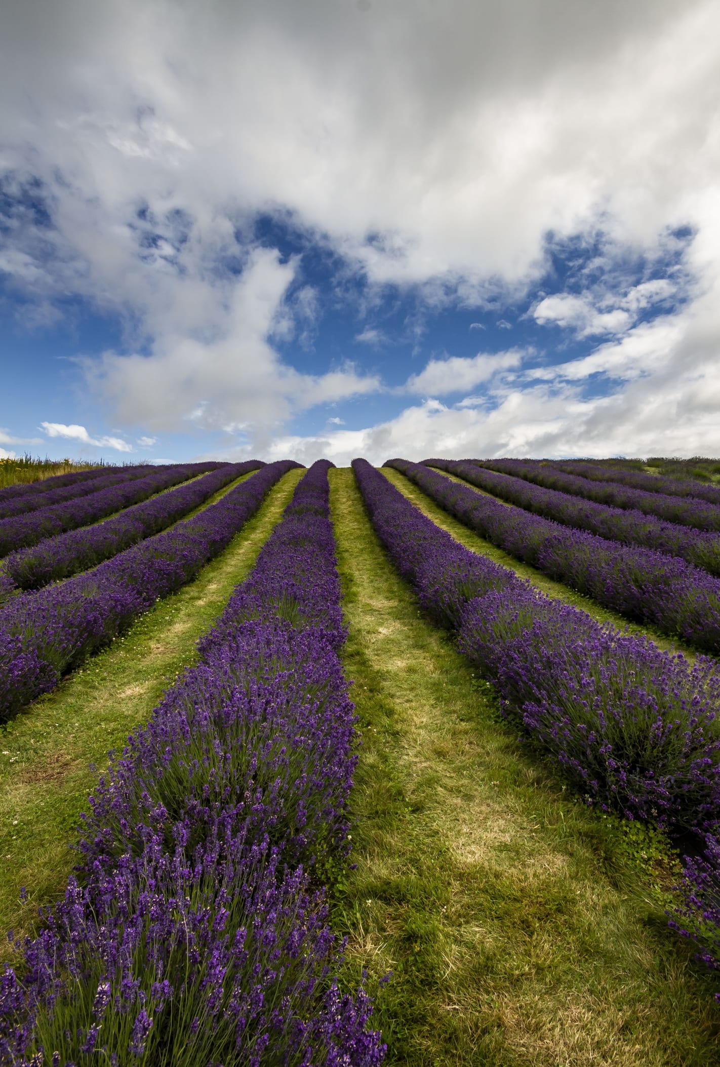 9 reasons you’ll fall for Fife, Scotland