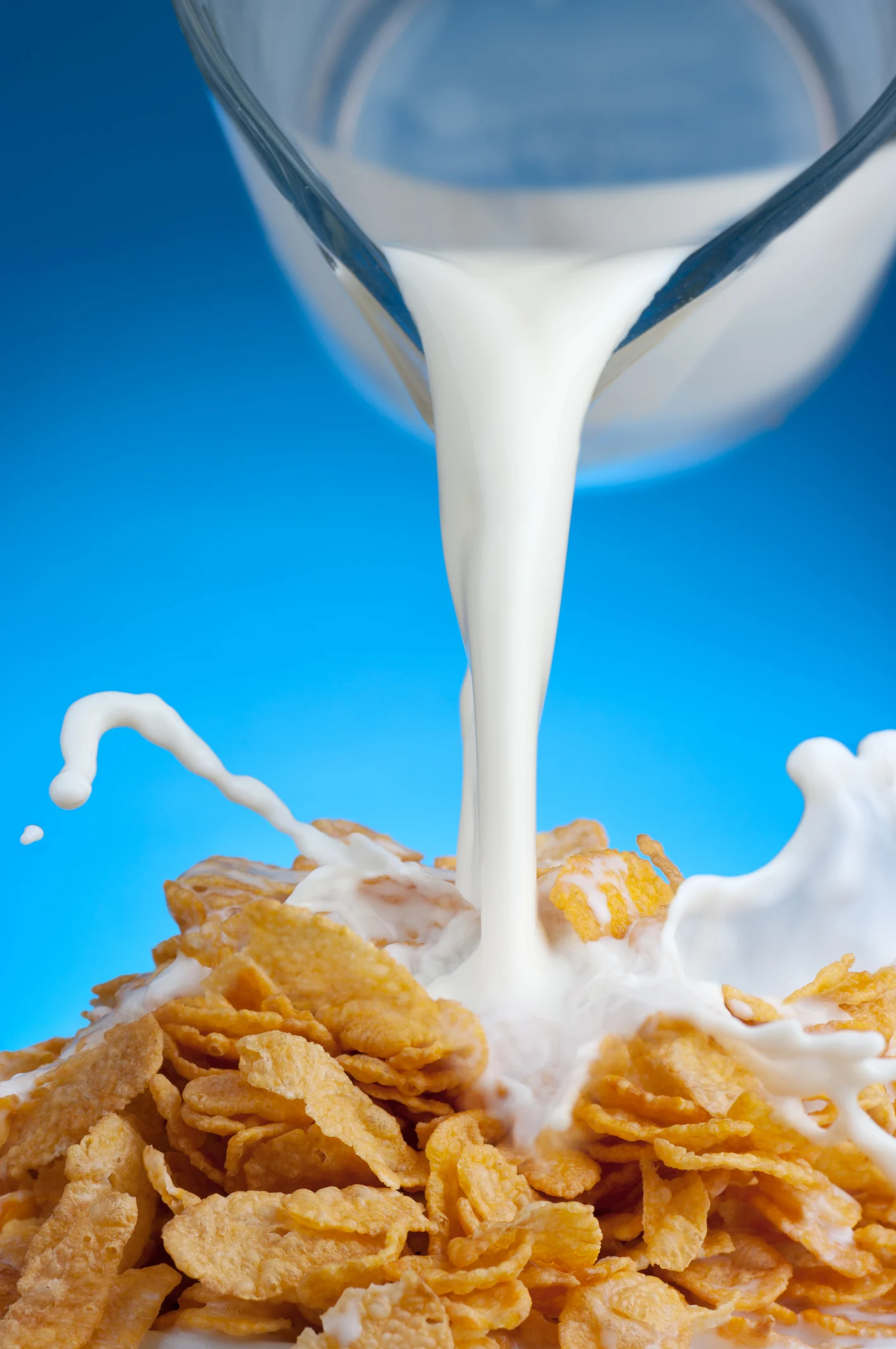 Adults need milk too