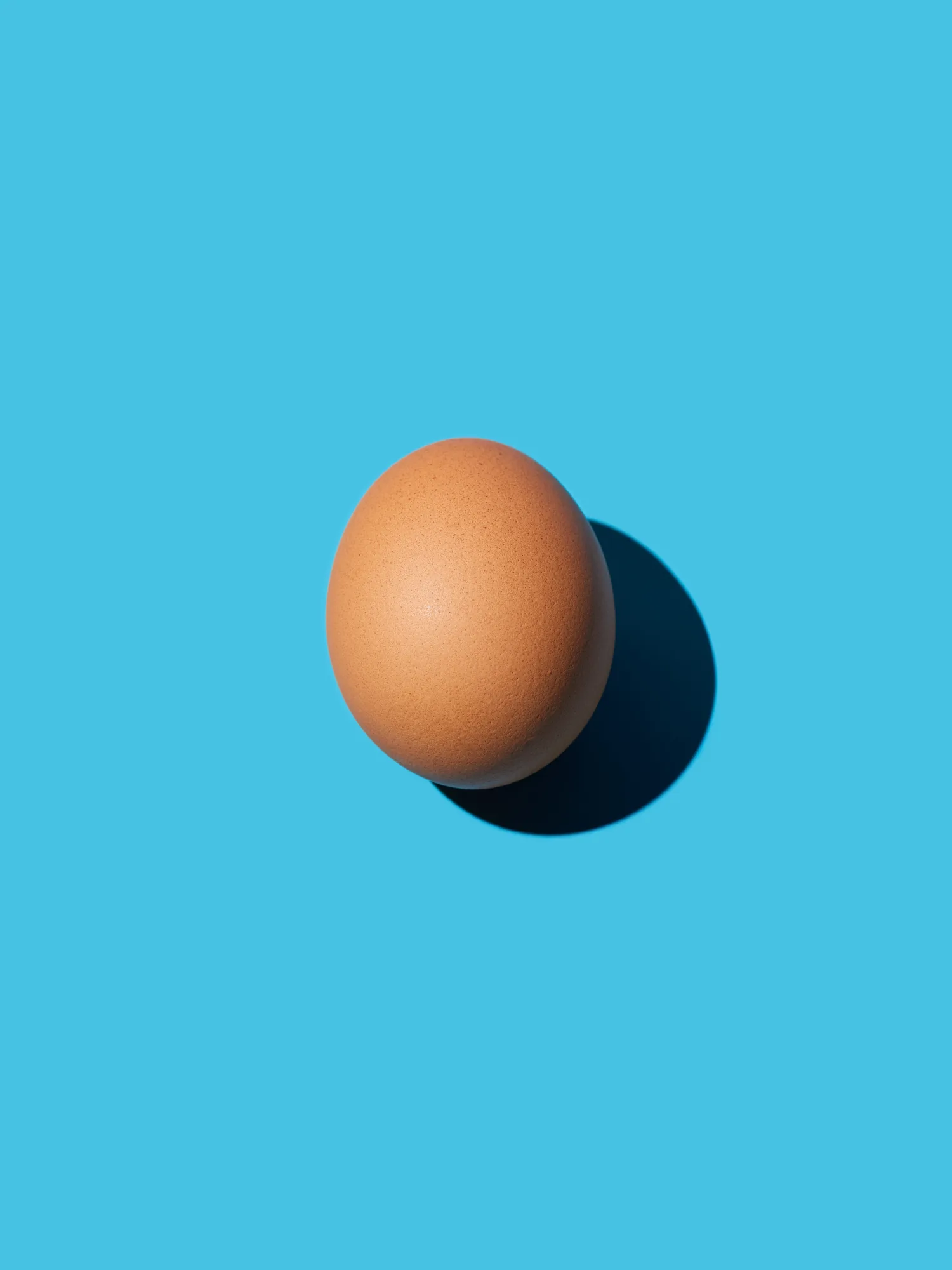 ¿Los huevos van en el refrigerador o no?