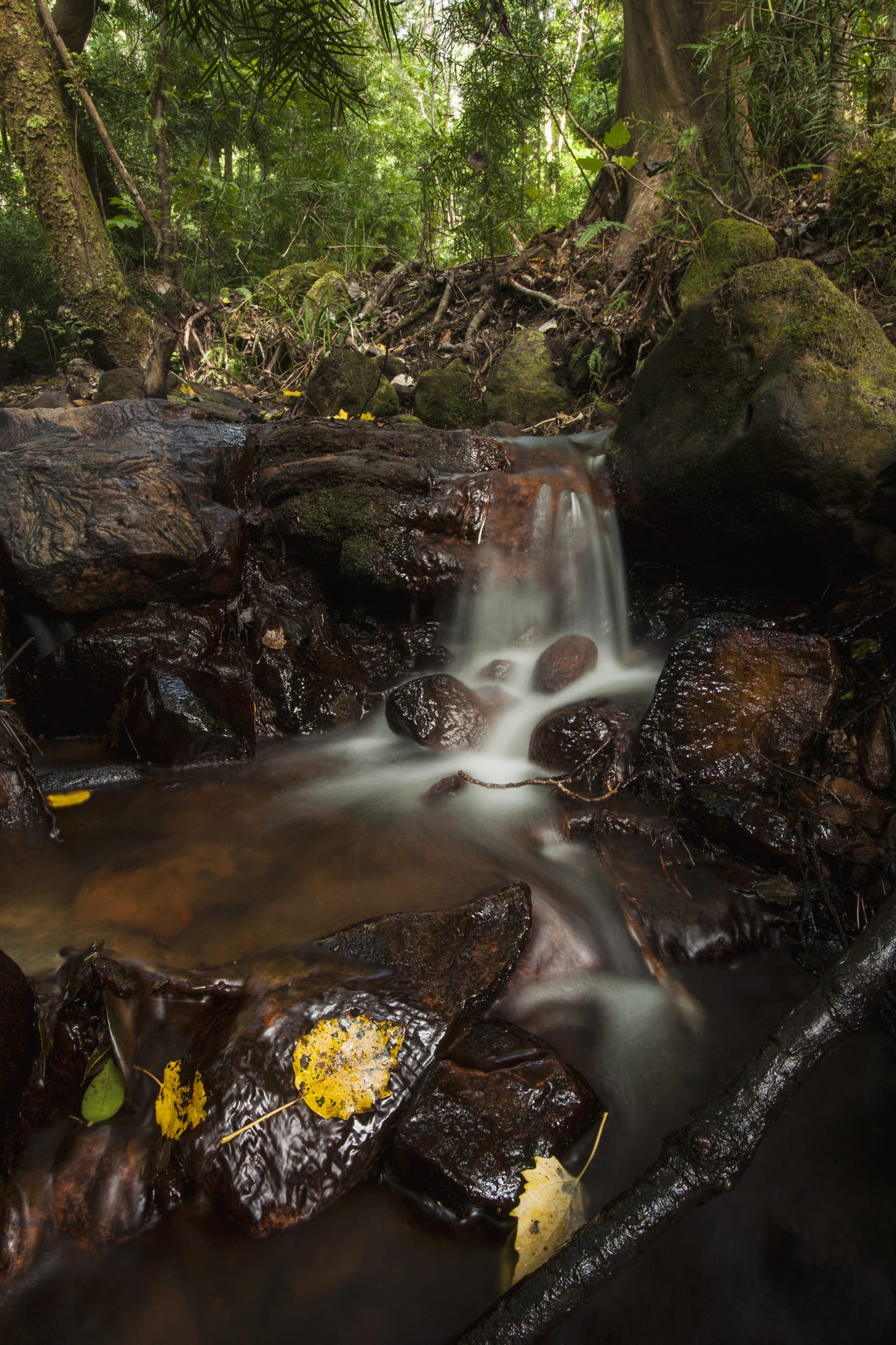 3 waterfall hikes to enjoy in and around Cape Town after it rains