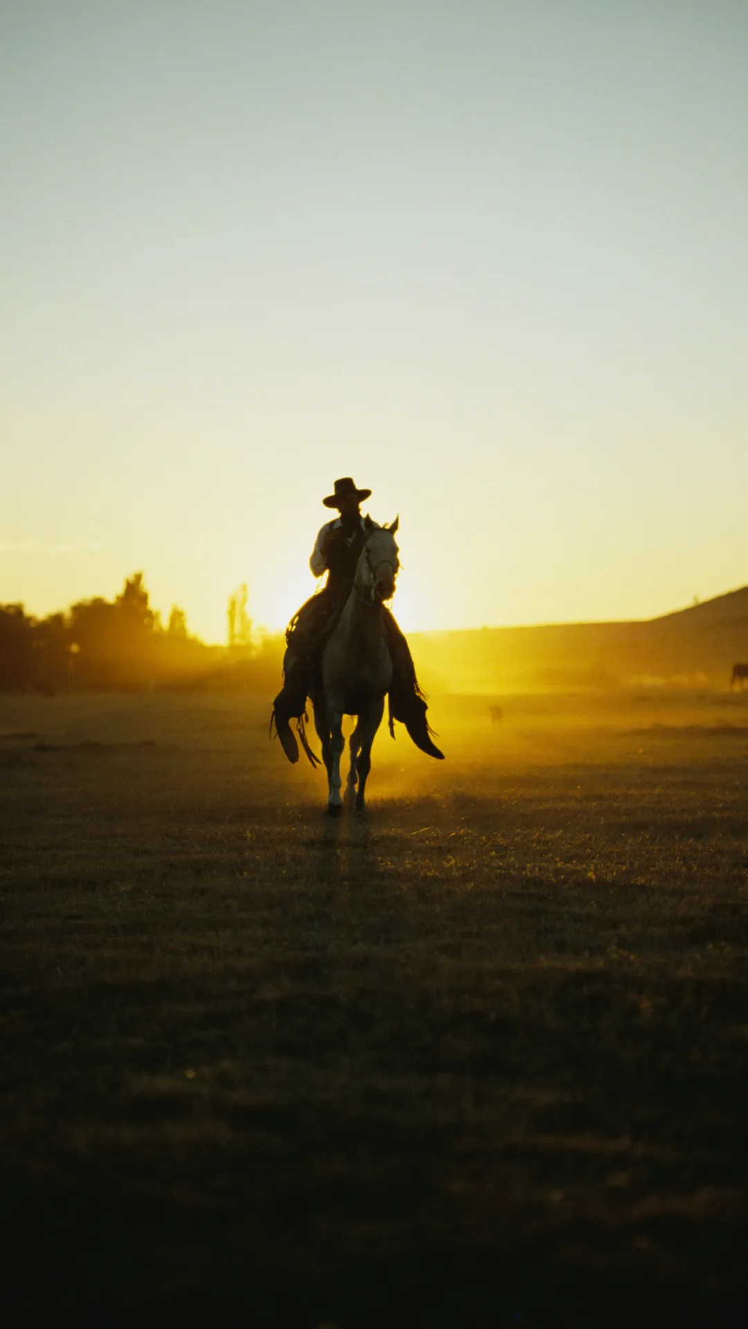 If you want a quirky staycation, you can stay in a stable... with a horse