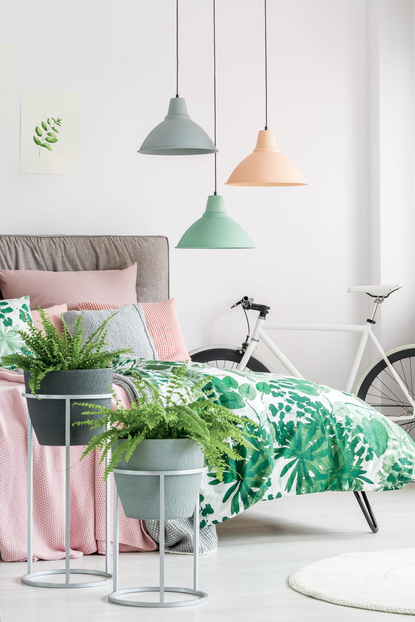 Plantas para apartamento: 4 espécies ideais