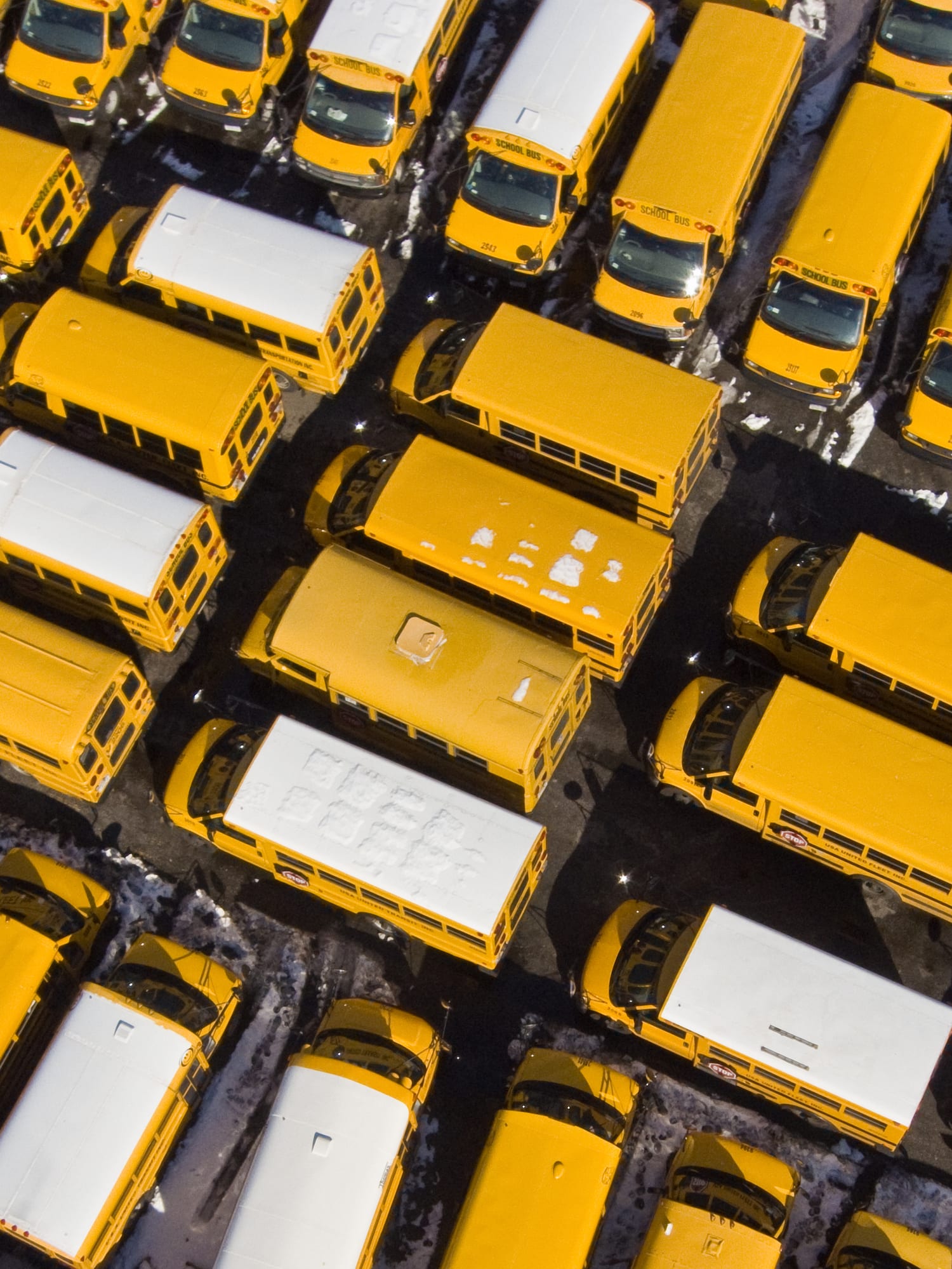 Negli Stati Uniti c’è carenza di insegnanti: alcune scuole preparano settimane da 4 giorni