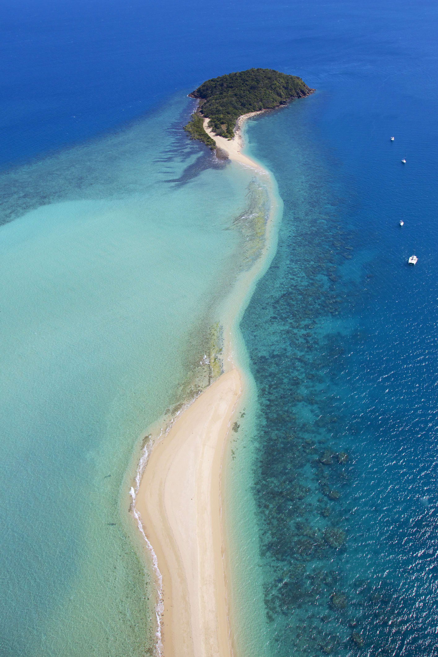 La grande barriera corallina sta morendo a causa nostra: mix di “integratori” per provare a salvarla