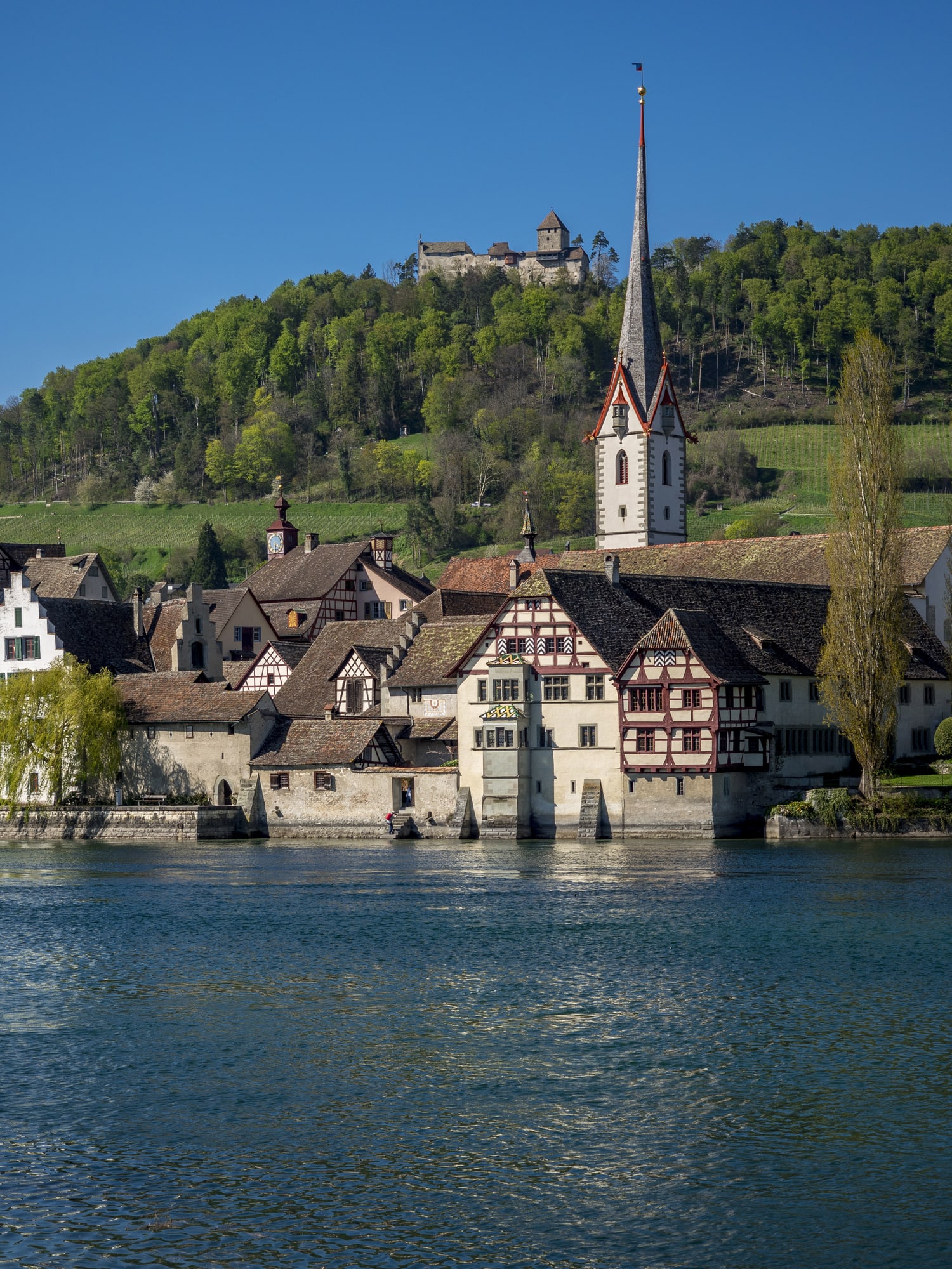 Ausflugsziele rund um den Rhein: Streifzüge zum Genießen