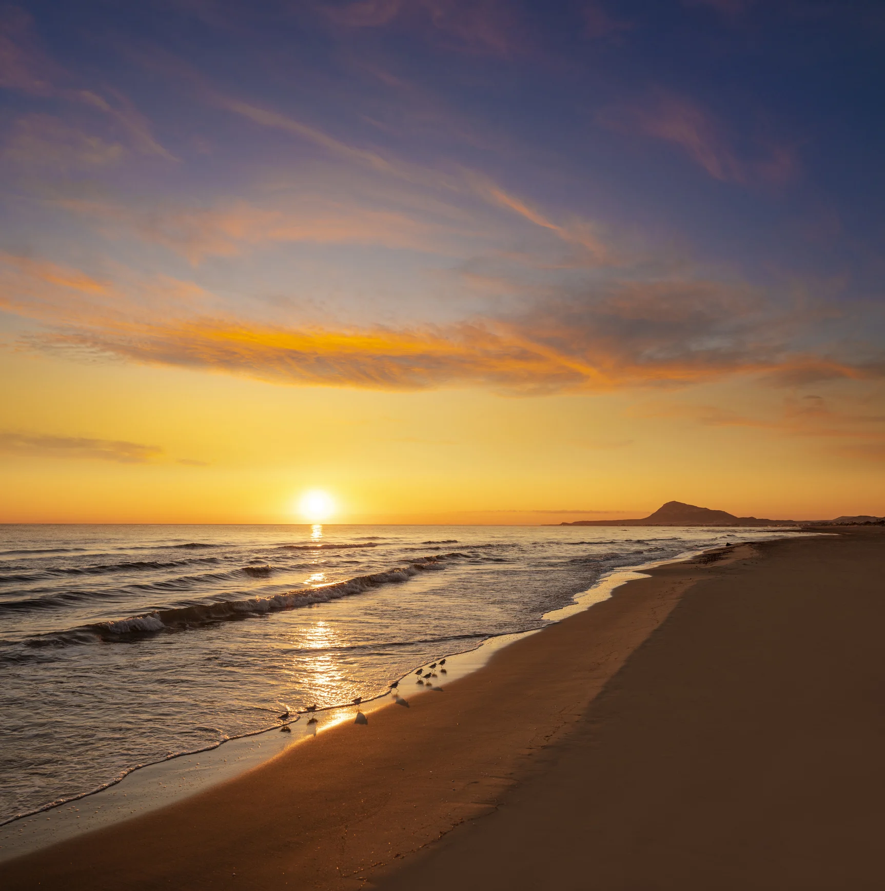 هل تحفز أشعة الشمس هرمون السعادة لدى البشر؟