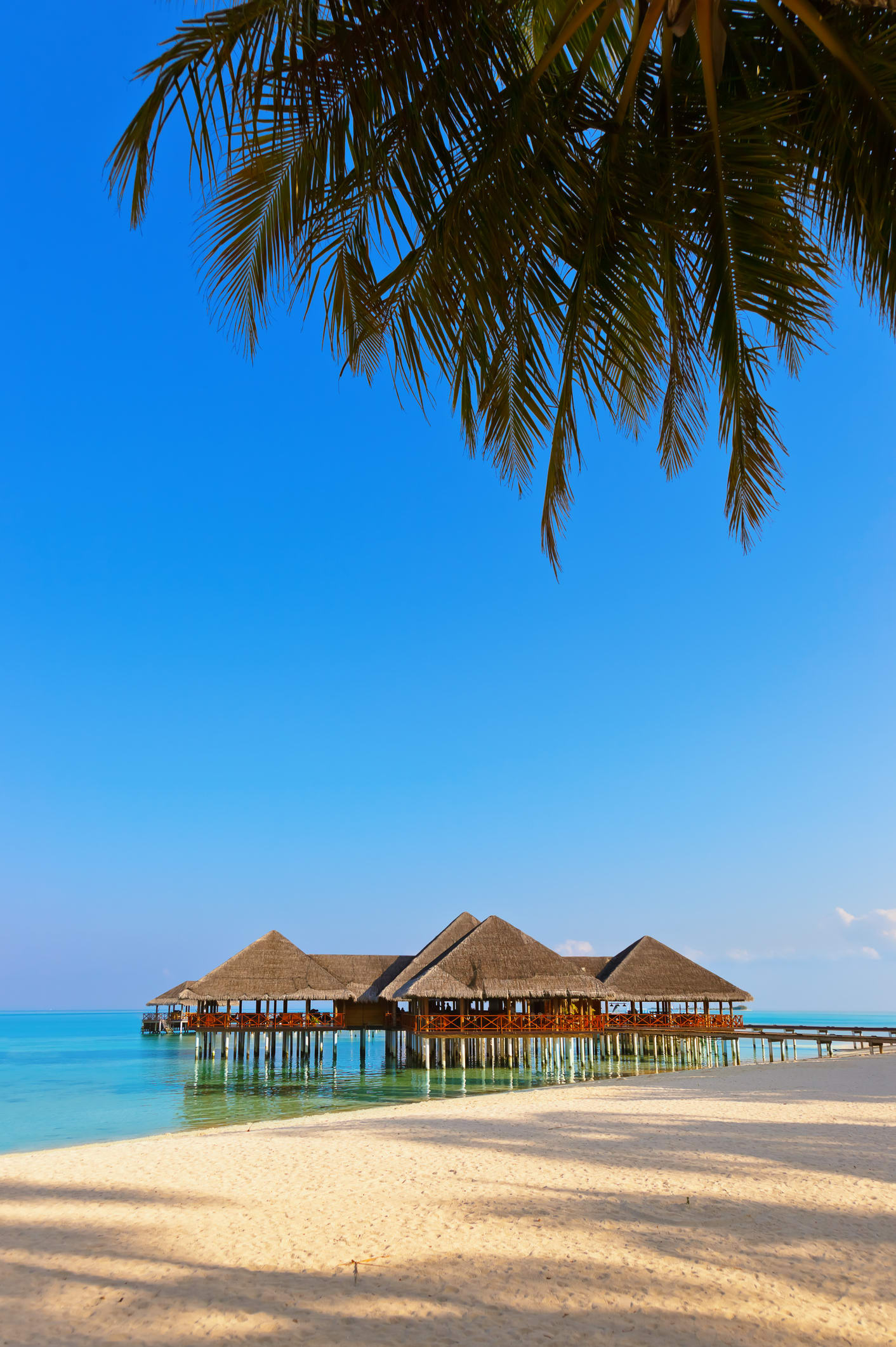 Starting the year off with a bang! Nambitha Ben-Mazwi’s Maldives trip