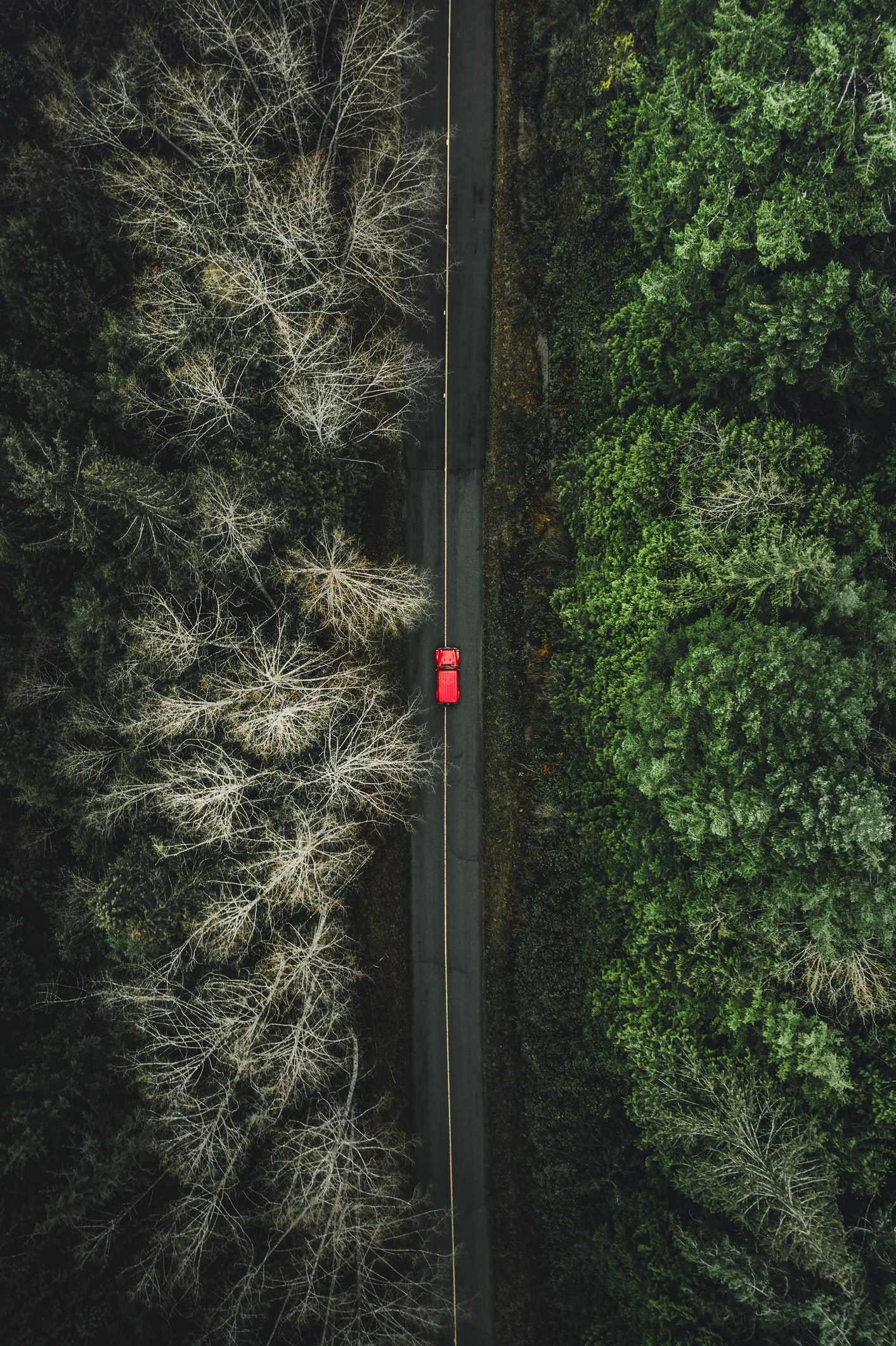 E' dura per i possessori del Telepass: ecco di quanto aumentano i costi